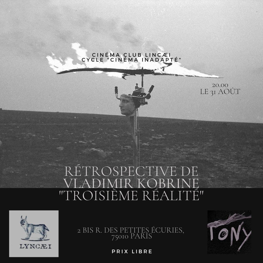 CINÉMA CLUB LINCÆI Cycle "Cinéma Inadapté"