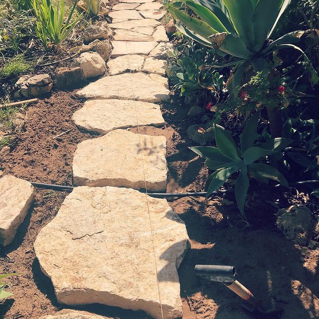 בניית תכנית פיננסית