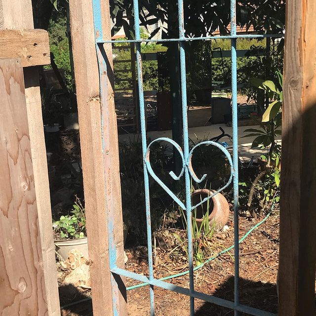 חילוץ לשיפוץ