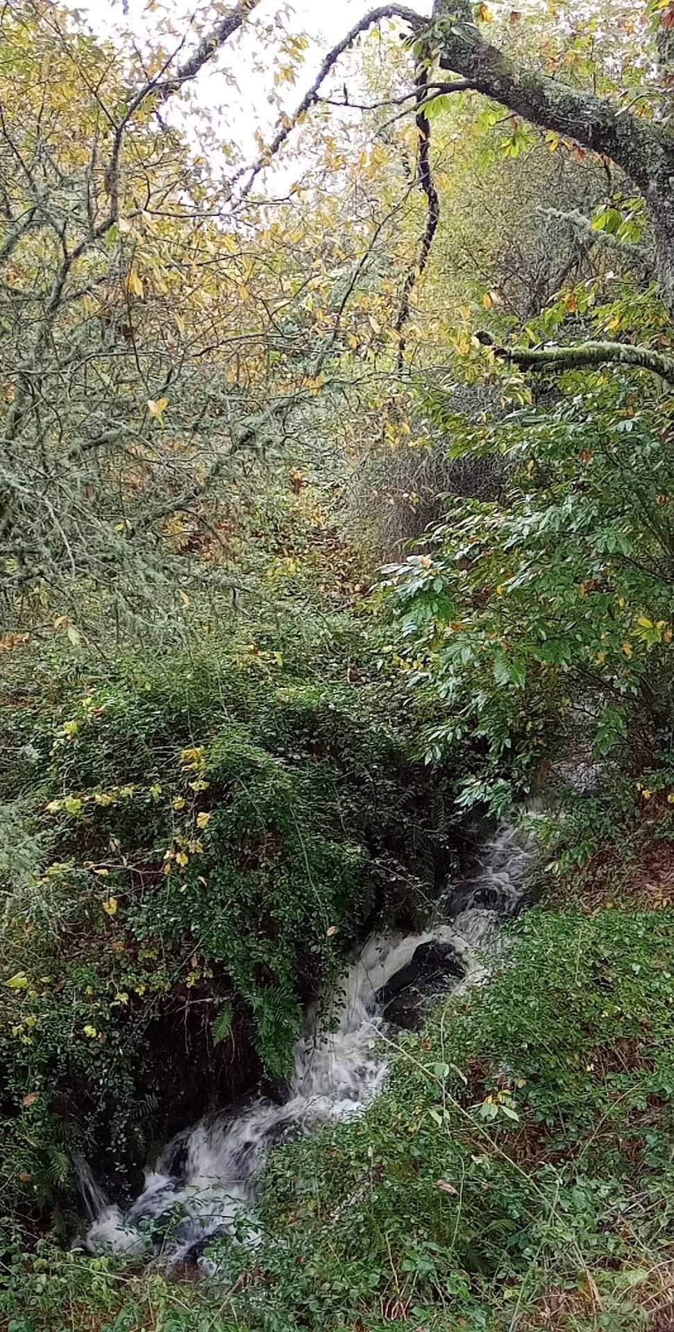 Locais mágicos na Serra do Caramulo