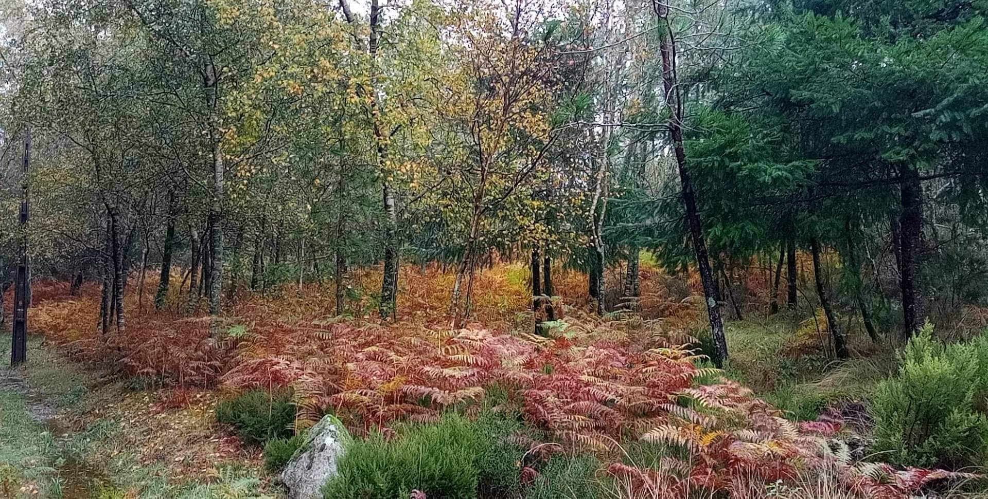 Locais mágicos na Serra do Caramulo.