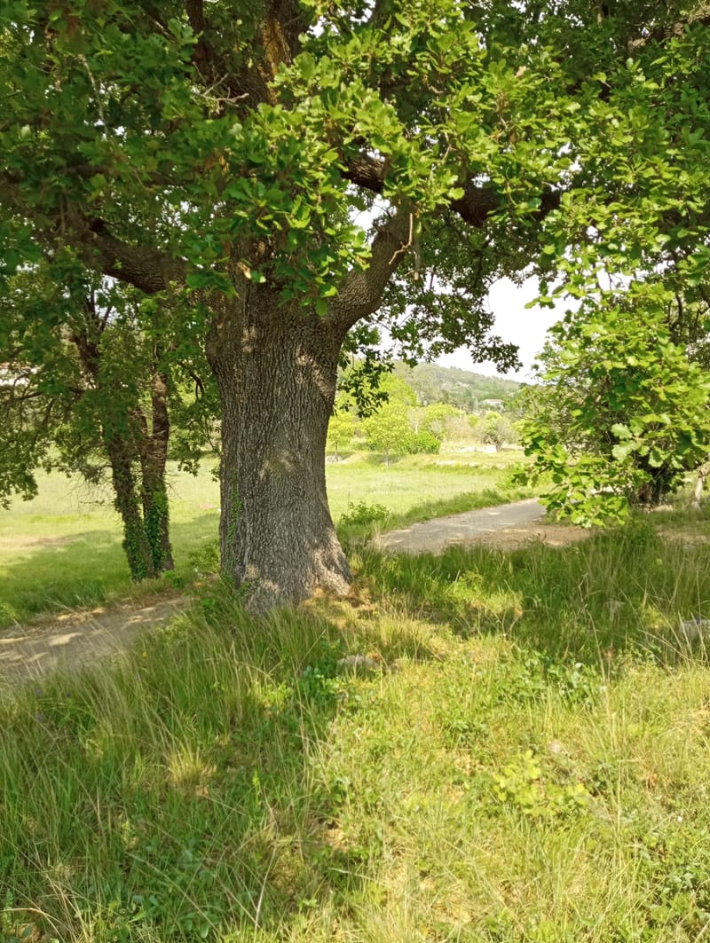 Journée de la Paix 2025