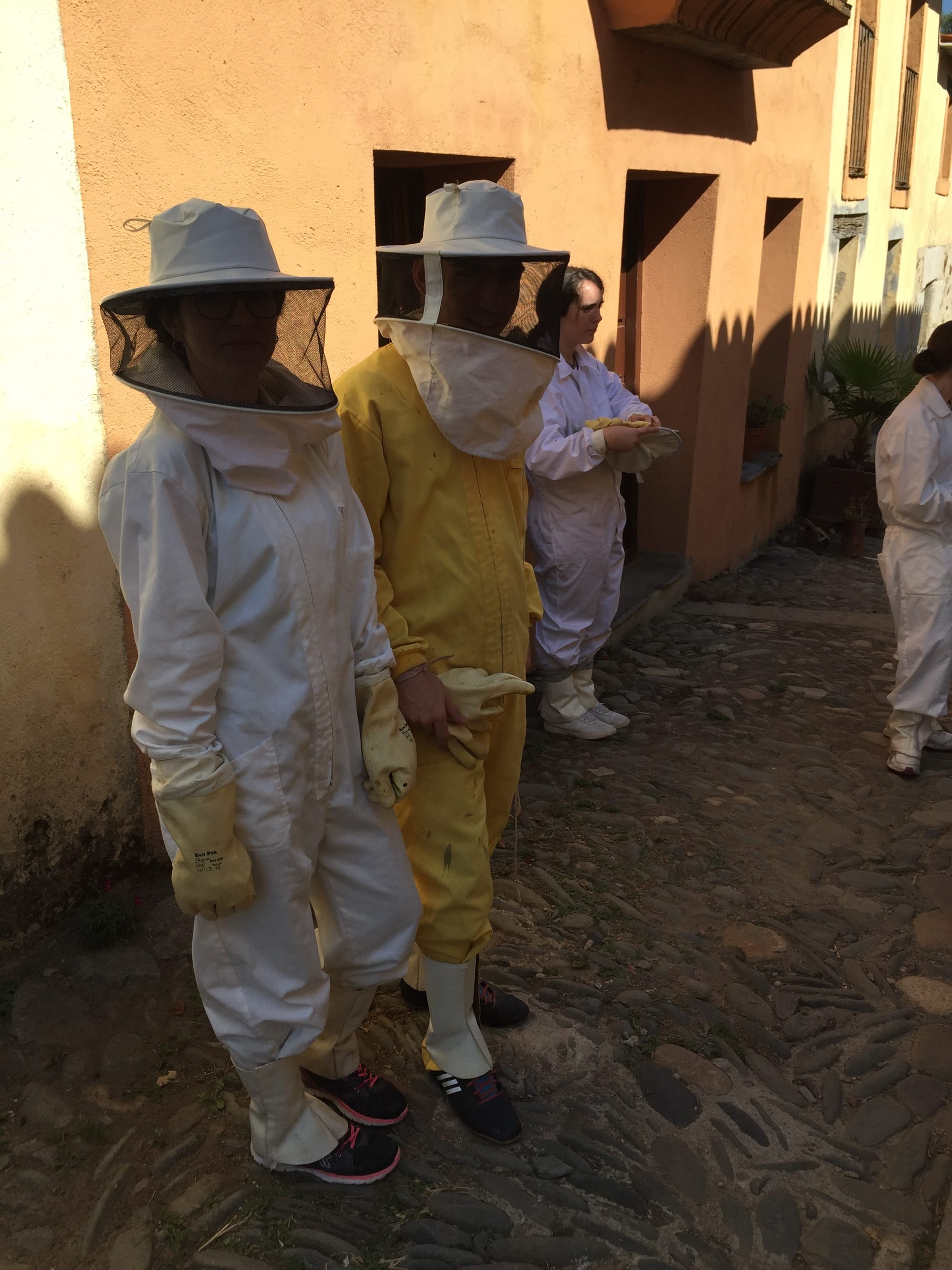 EL FABULOSO MUNDO DE LAS ABEJAS (Por Eva Fernández, Teodora y Alejandro)
