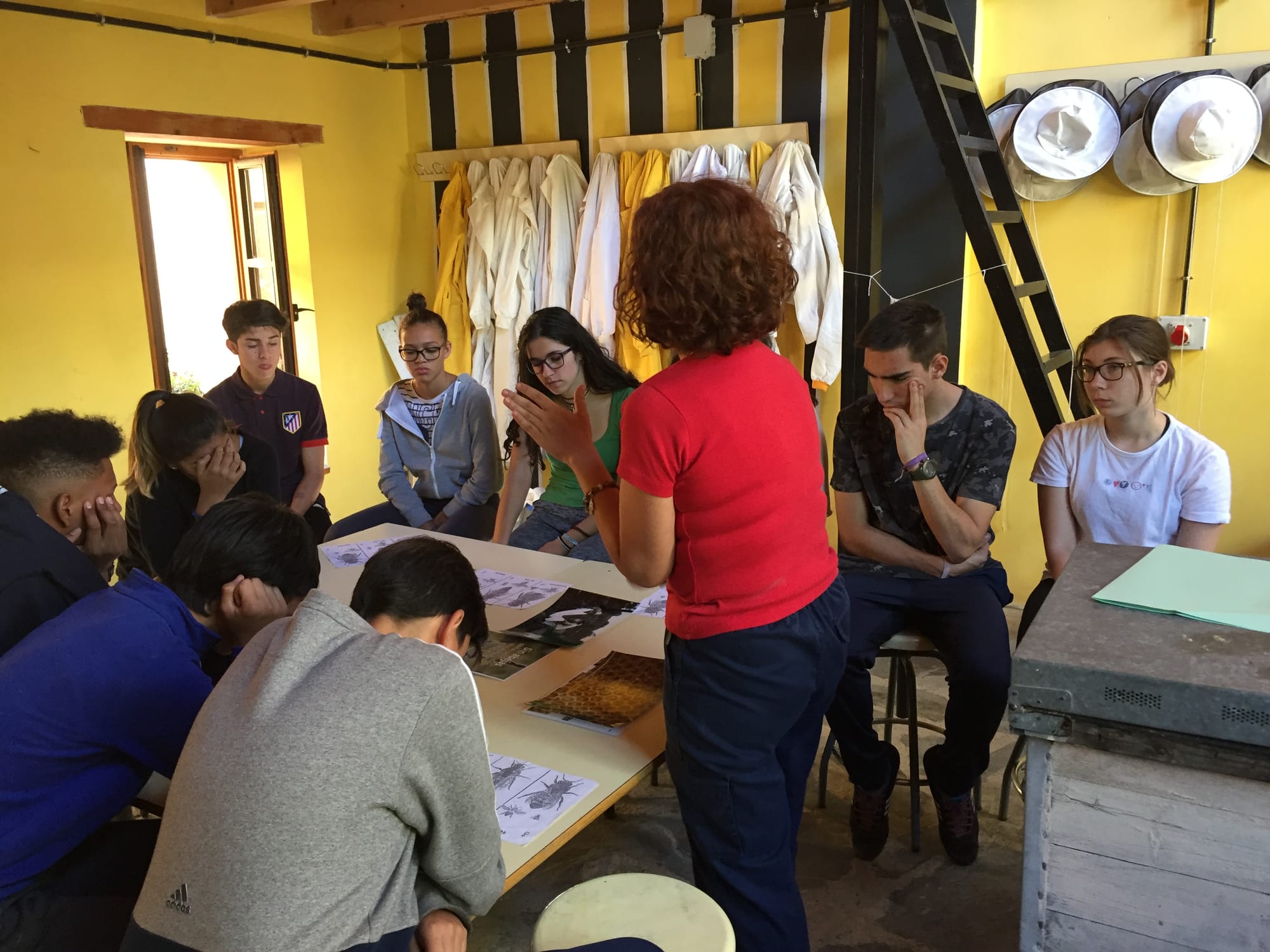 LA SALA DE LAS ABEJAS