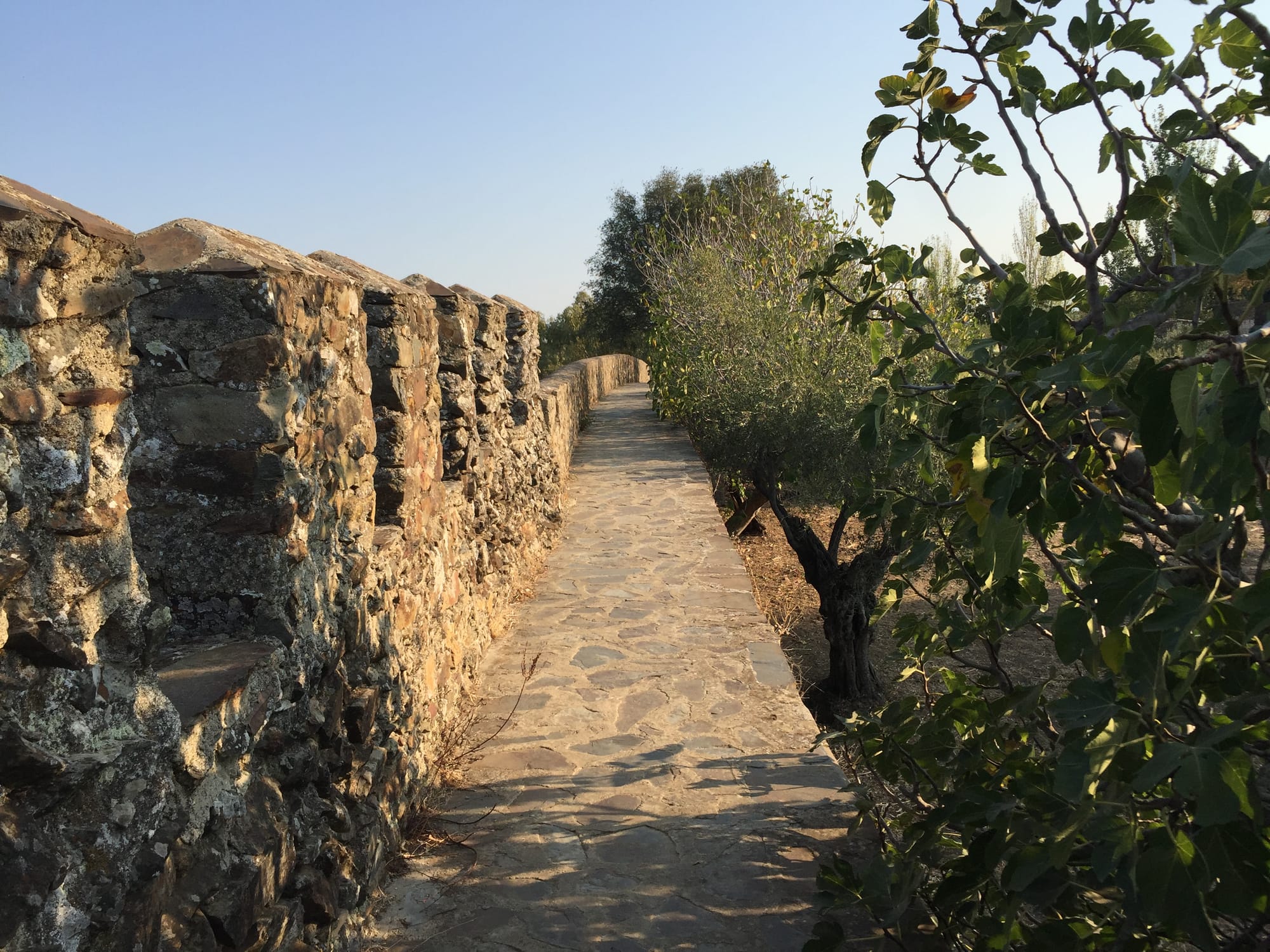 LA GRAN MURALLA GRANACHINA