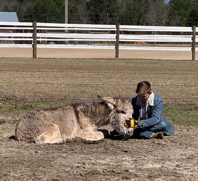 Ranch and Farm Sitting image