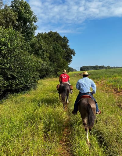 Trail Rides/Obstacle Course image