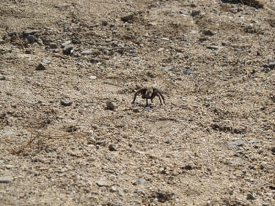 A Book He Started Writing Once: part I