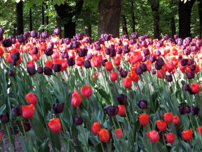 A Book He Started Writing Once: Part 5