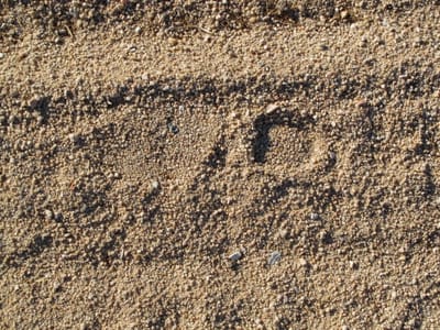 I Did An Interview for The Mystery Tribune