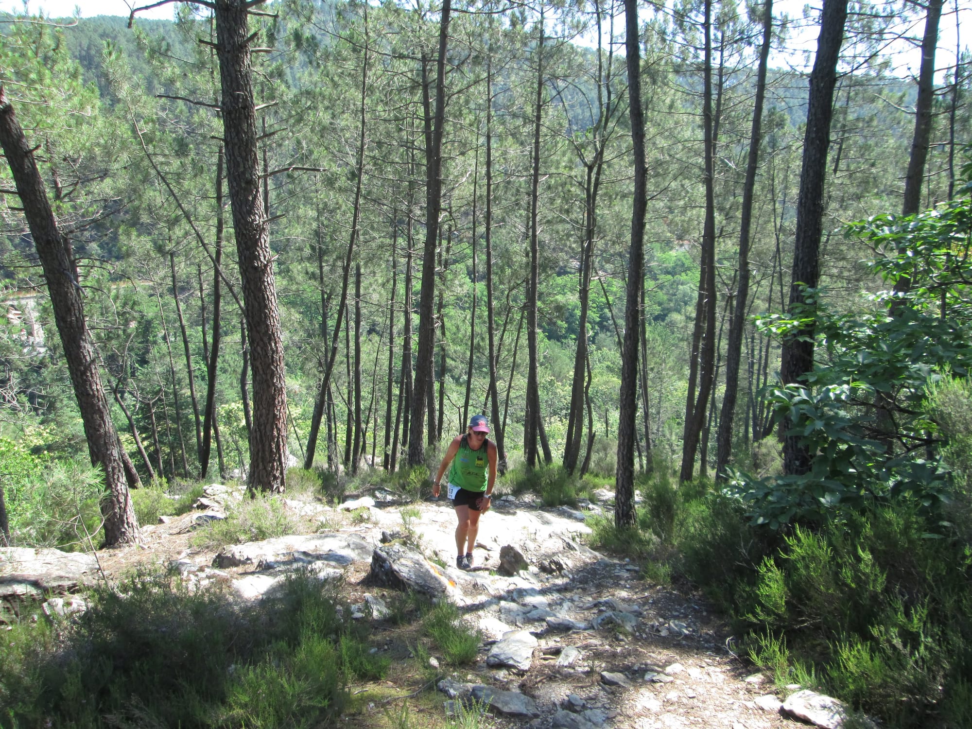 La Nouvelle Calade - 31ème édition