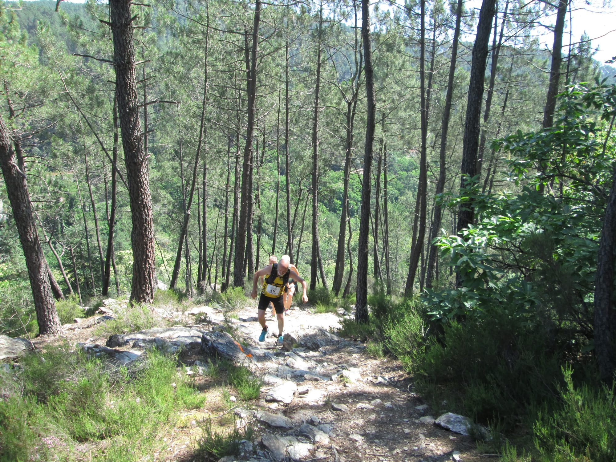 La Nouvelle Calade - 31ème édition