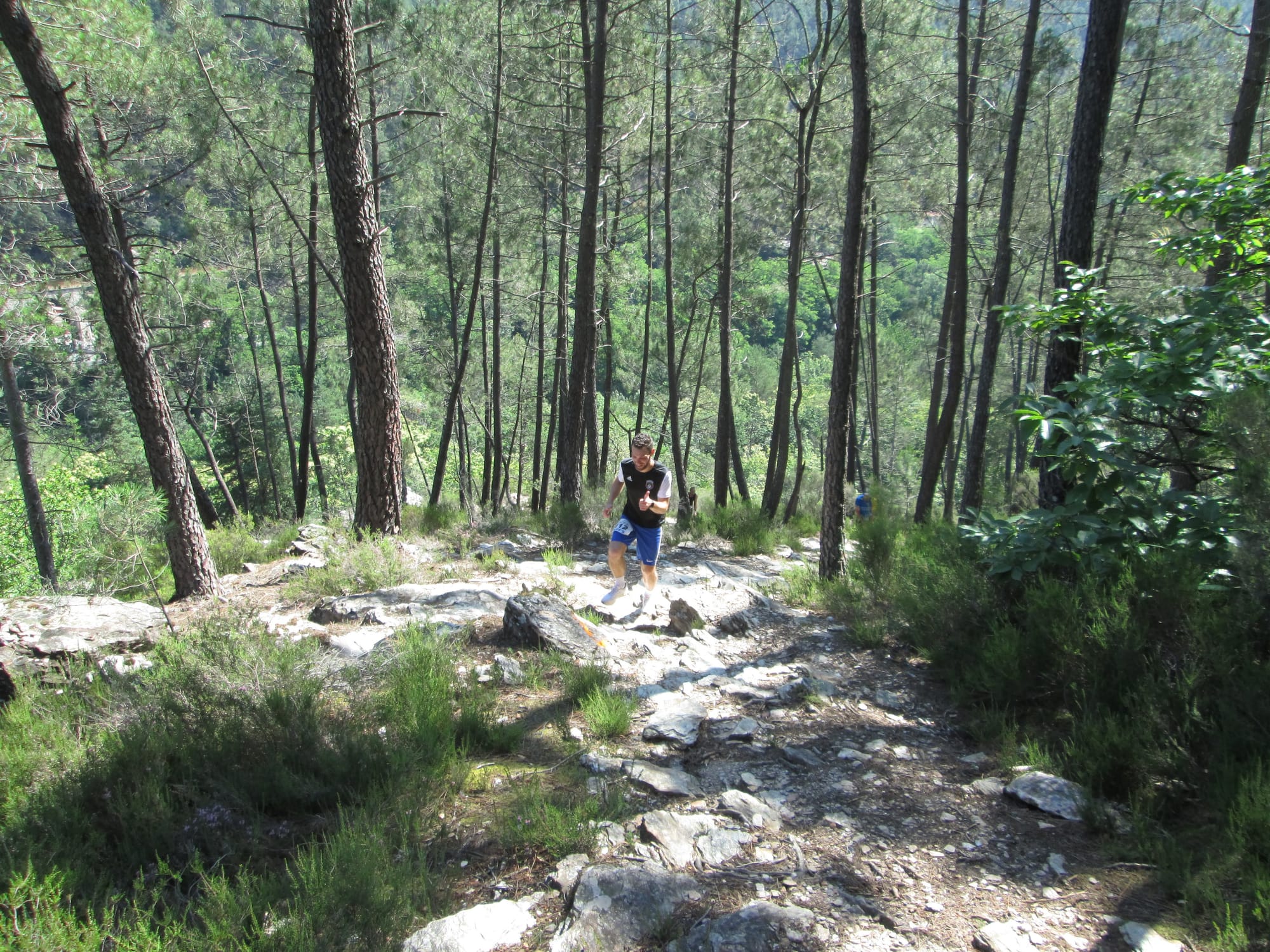 La Nouvelle Calade - 31ème édition