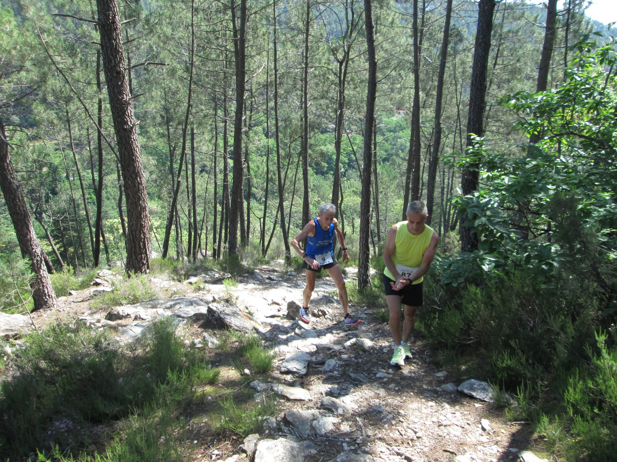 La Nouvelle Calade - 31ème édition