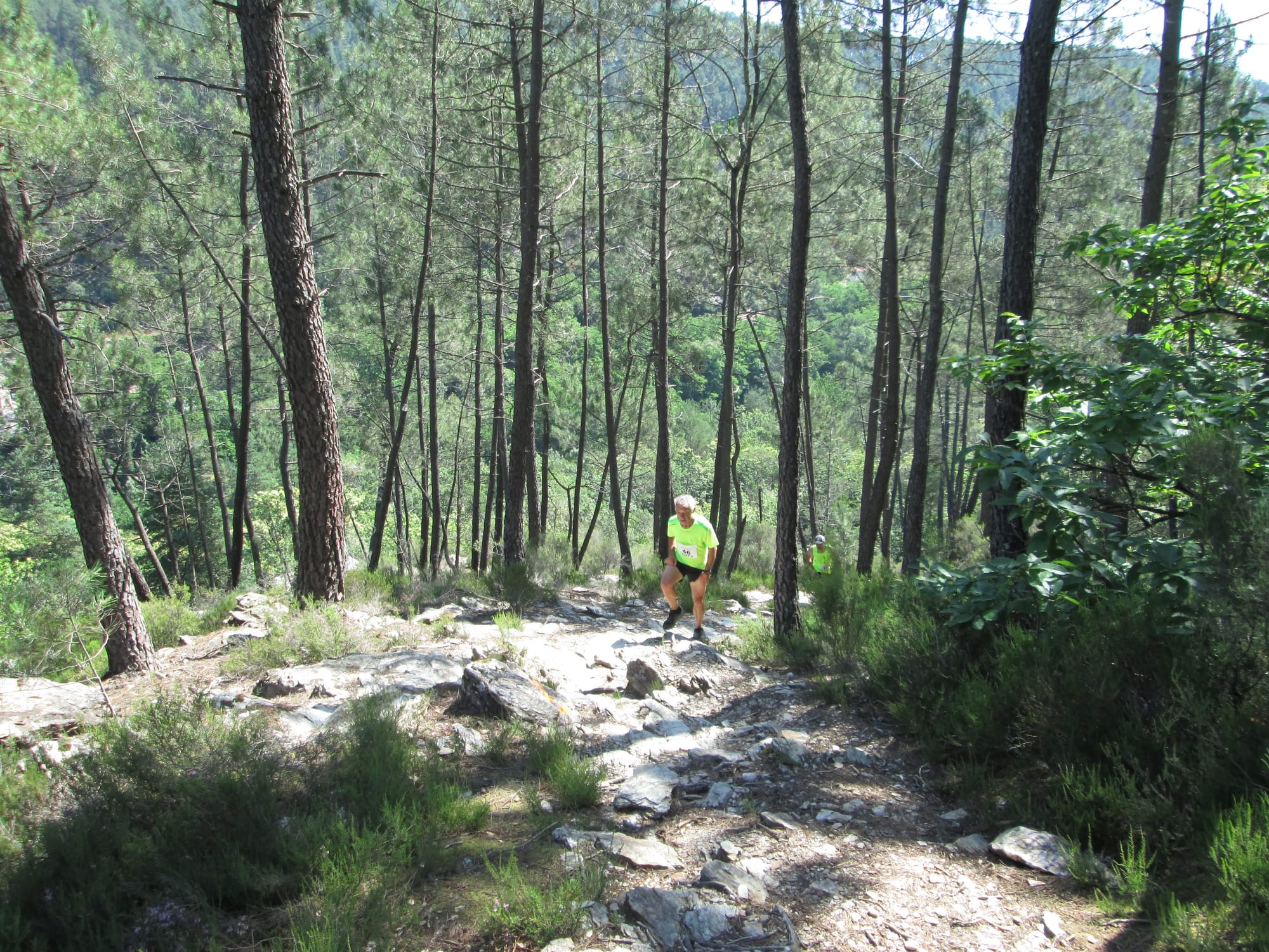 La Nouvelle Calade - 31ème édition