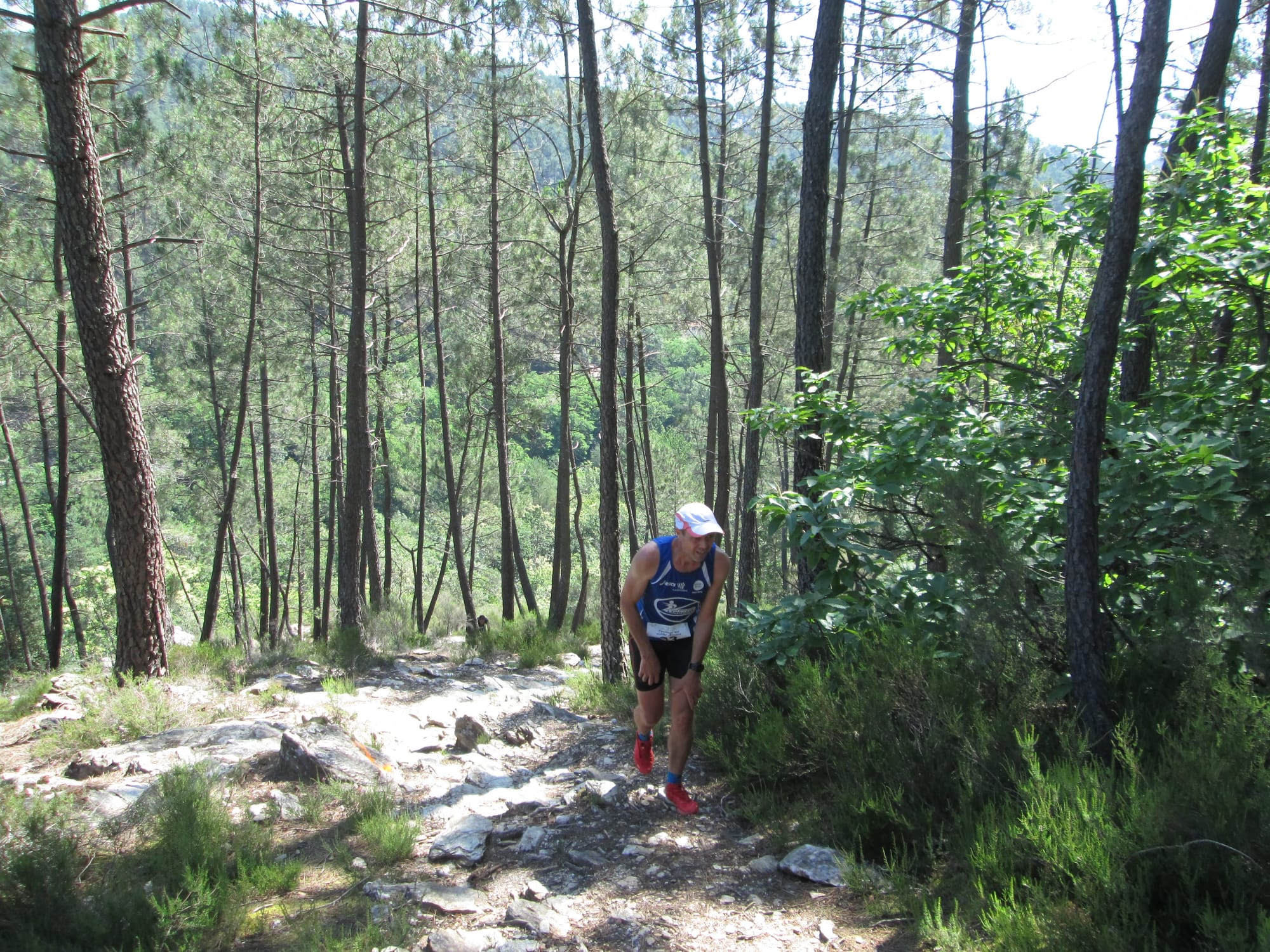 La Nouvelle Calade - 31ème édition