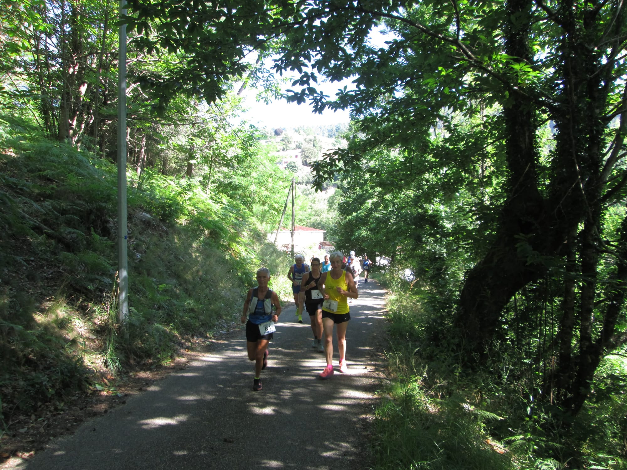 La Nouvelle Calade - 31ème édition