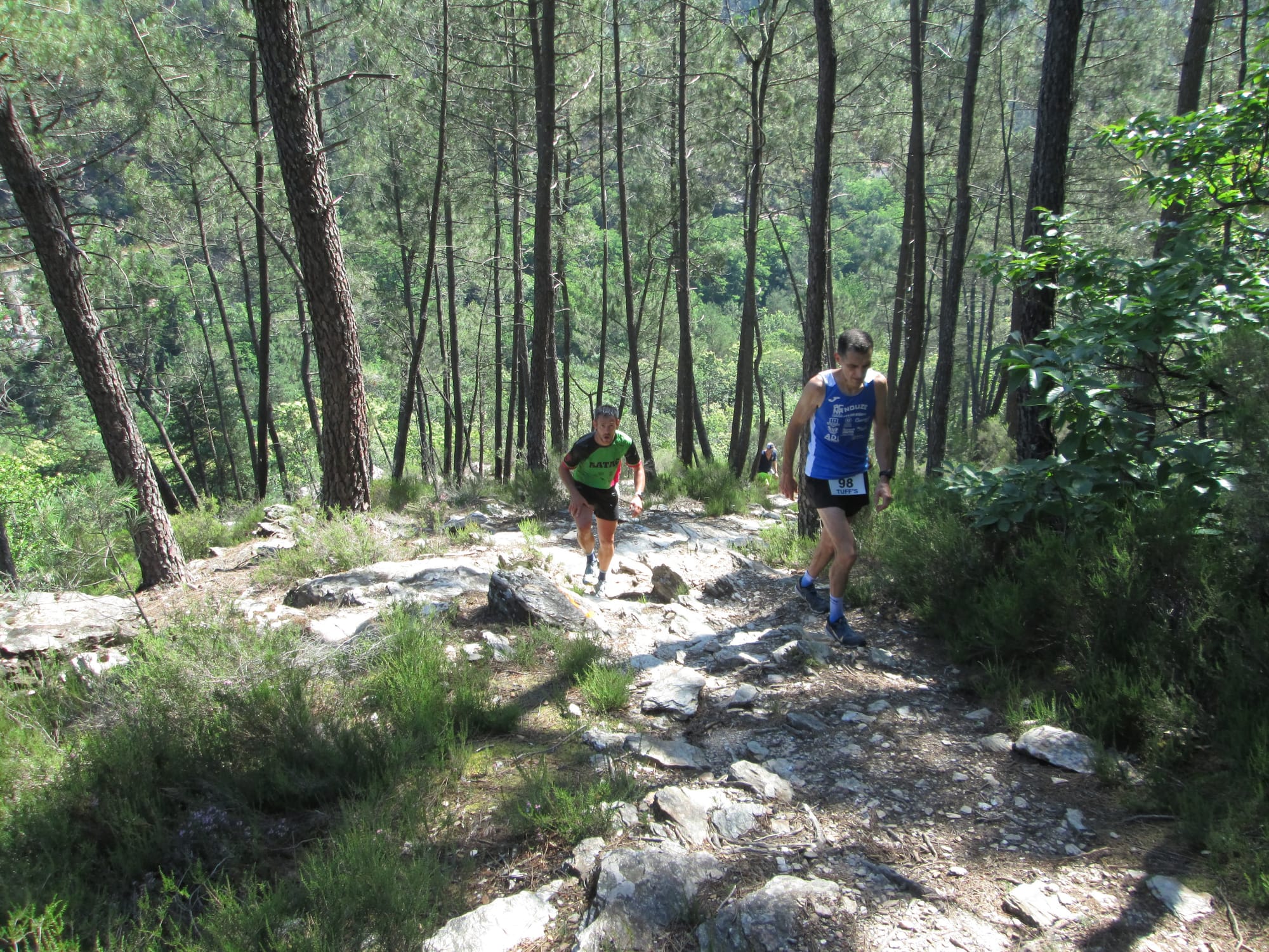 La Nouvelle Calade - 31ème édition