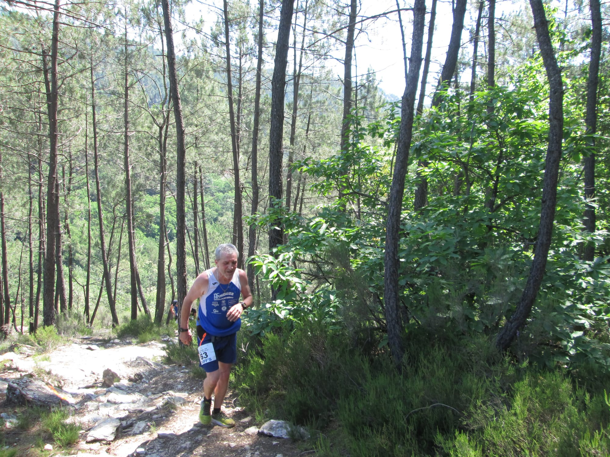 La Nouvelle Calade - 31ème édition