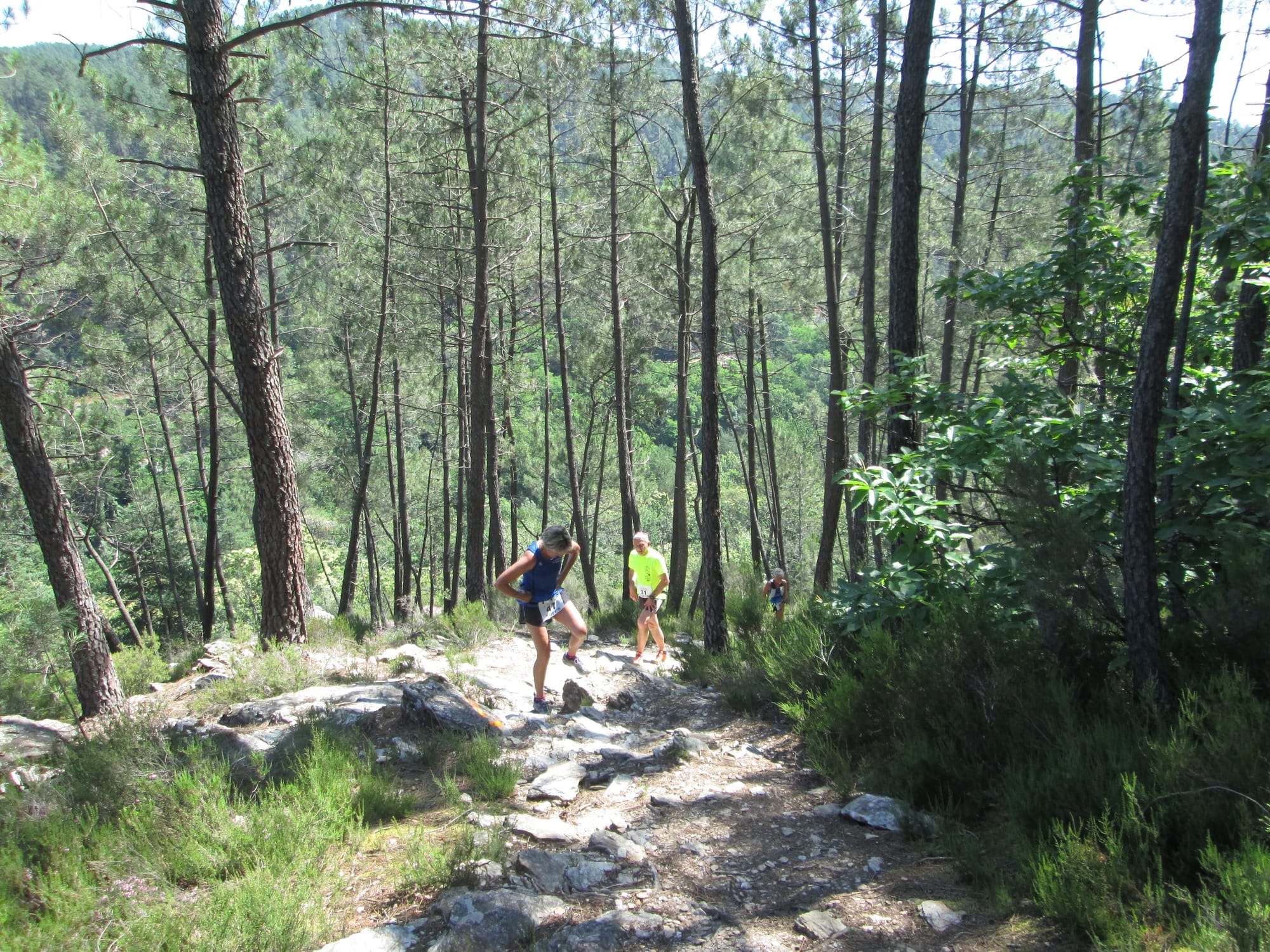 La Nouvelle Calade - 31ème édition