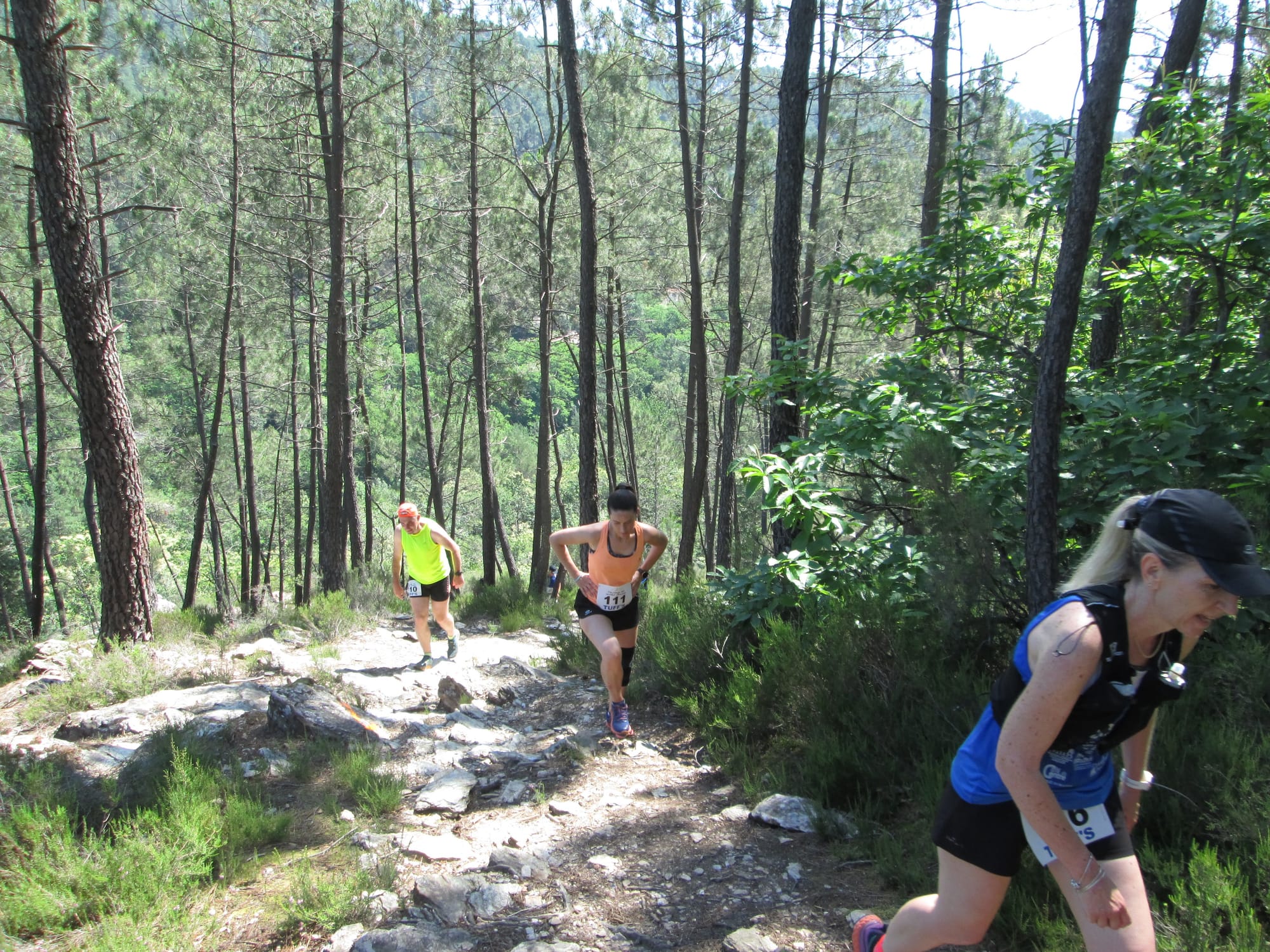 La Nouvelle Calade - 31ème édition