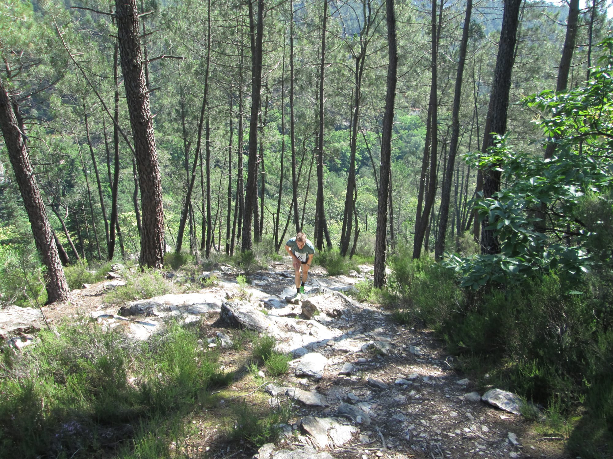 La Nouvelle Calade - 31ème édition