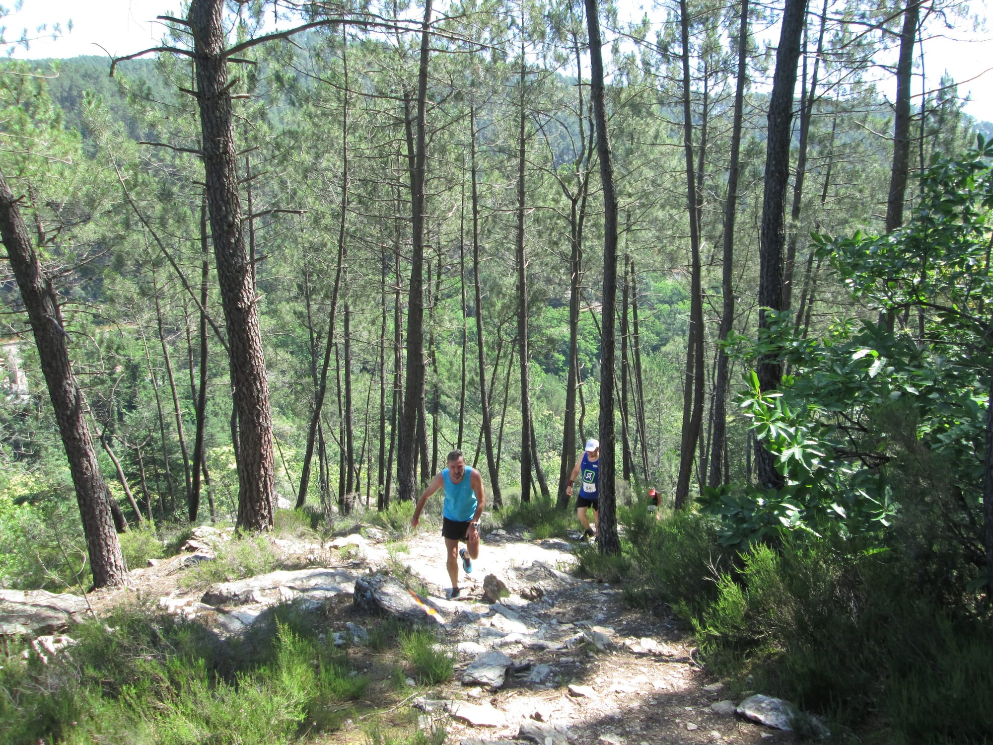 La Nouvelle Calade - 31ème édition