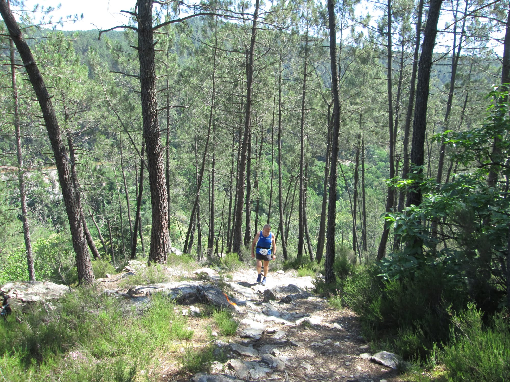 La Nouvelle Calade - 31ème édition