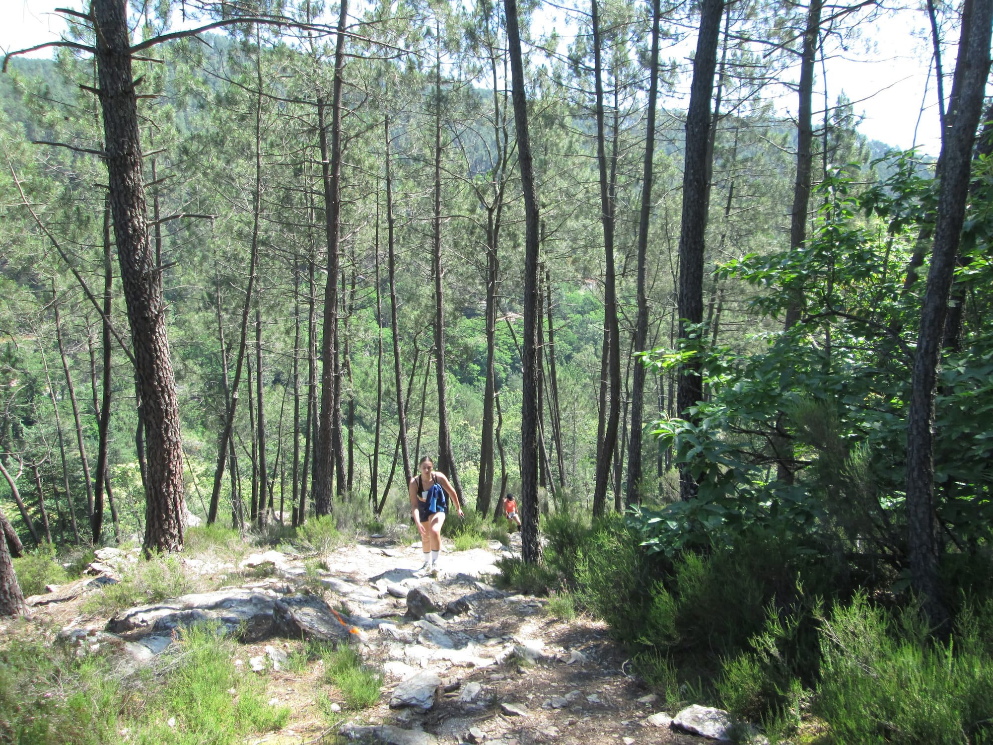 La Nouvelle Calade - 31ème édition