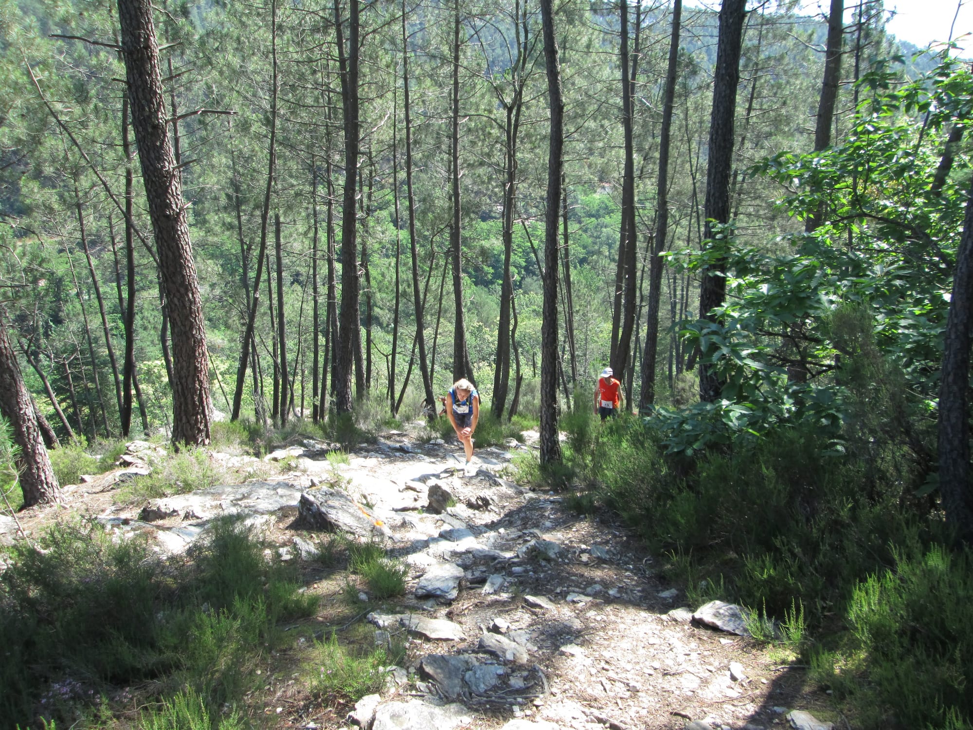 La Nouvelle Calade - 31ème édition