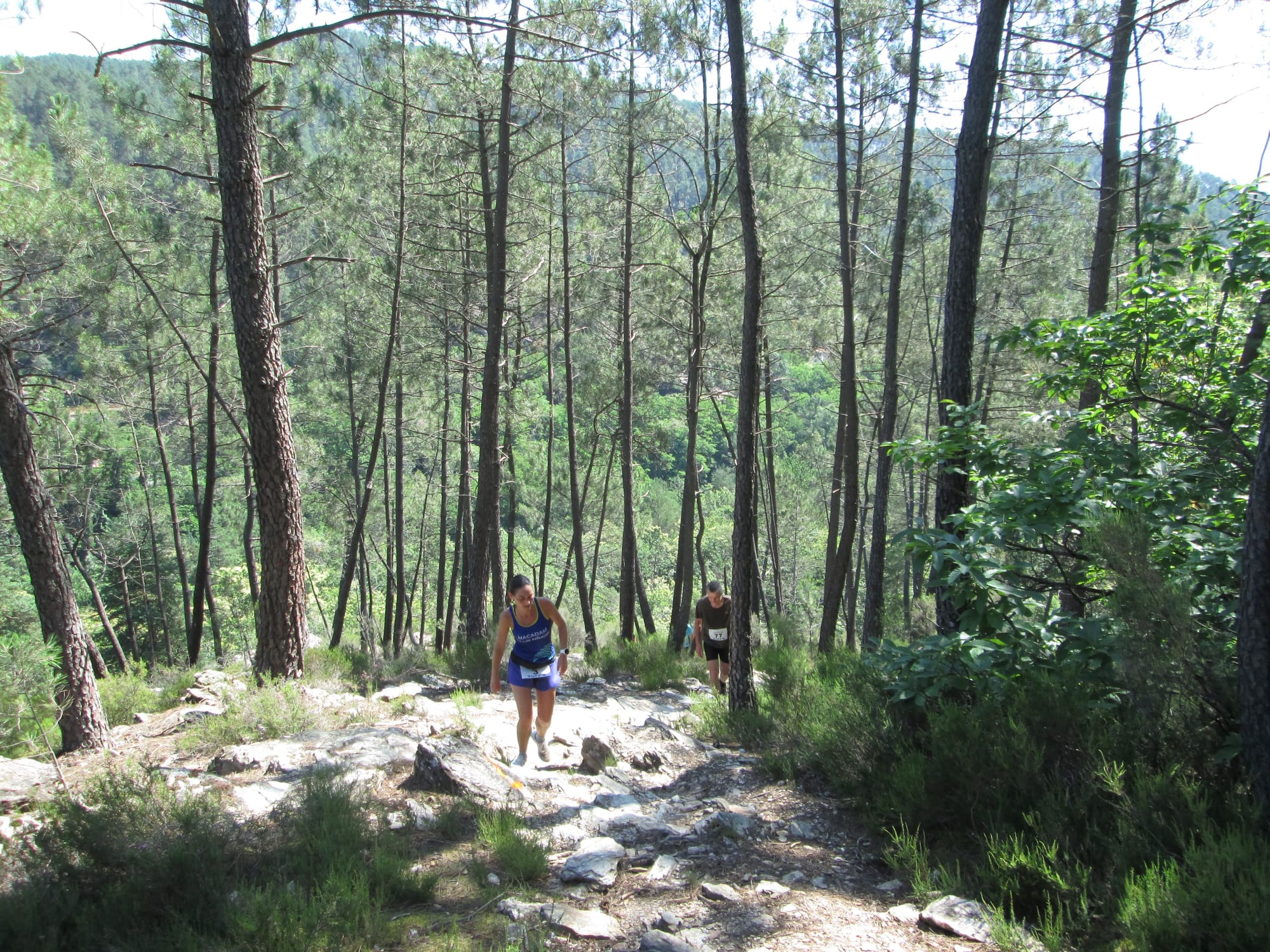 La Nouvelle Calade - 31ème édition