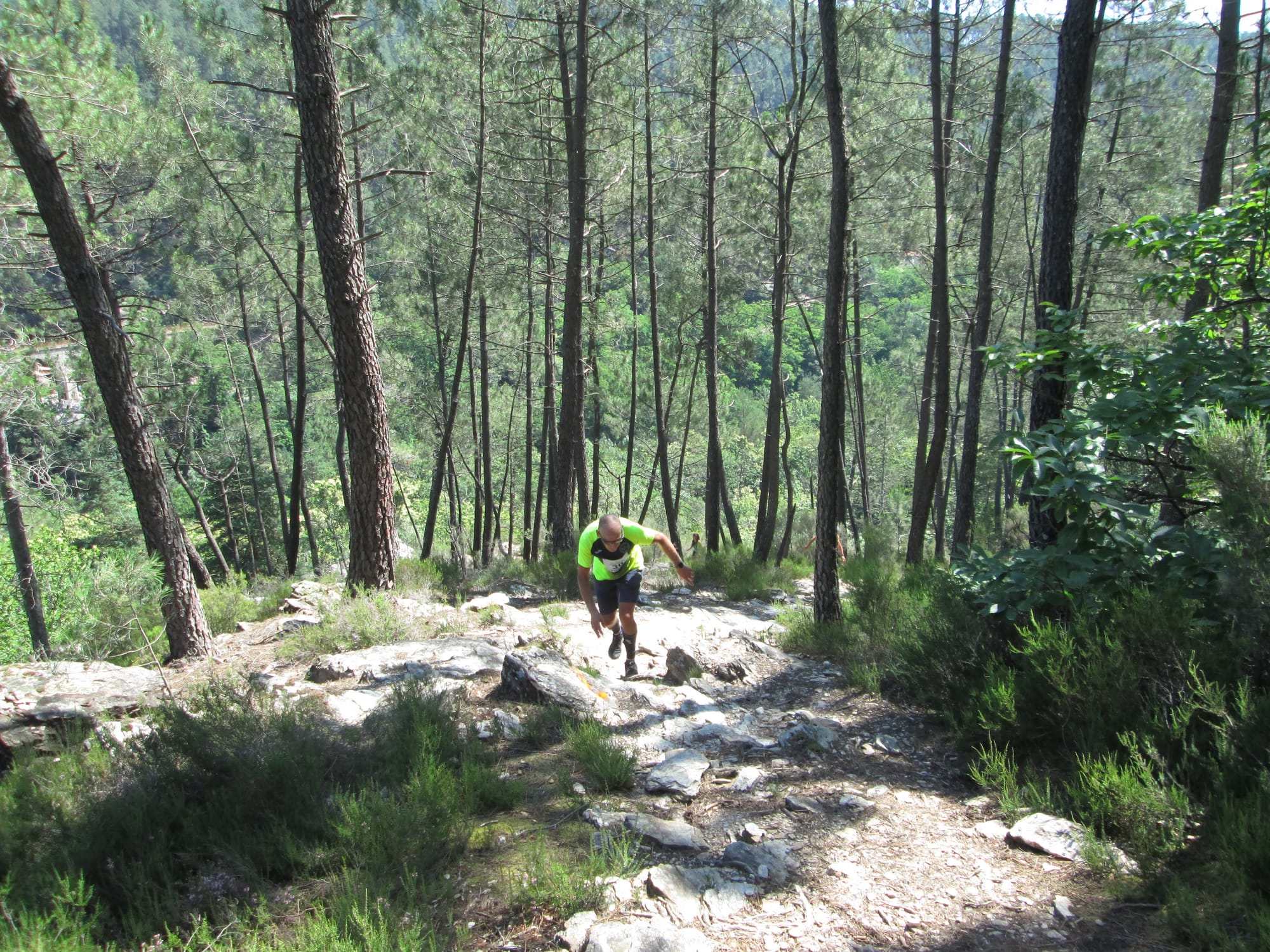 La Nouvelle Calade - 31ème édition