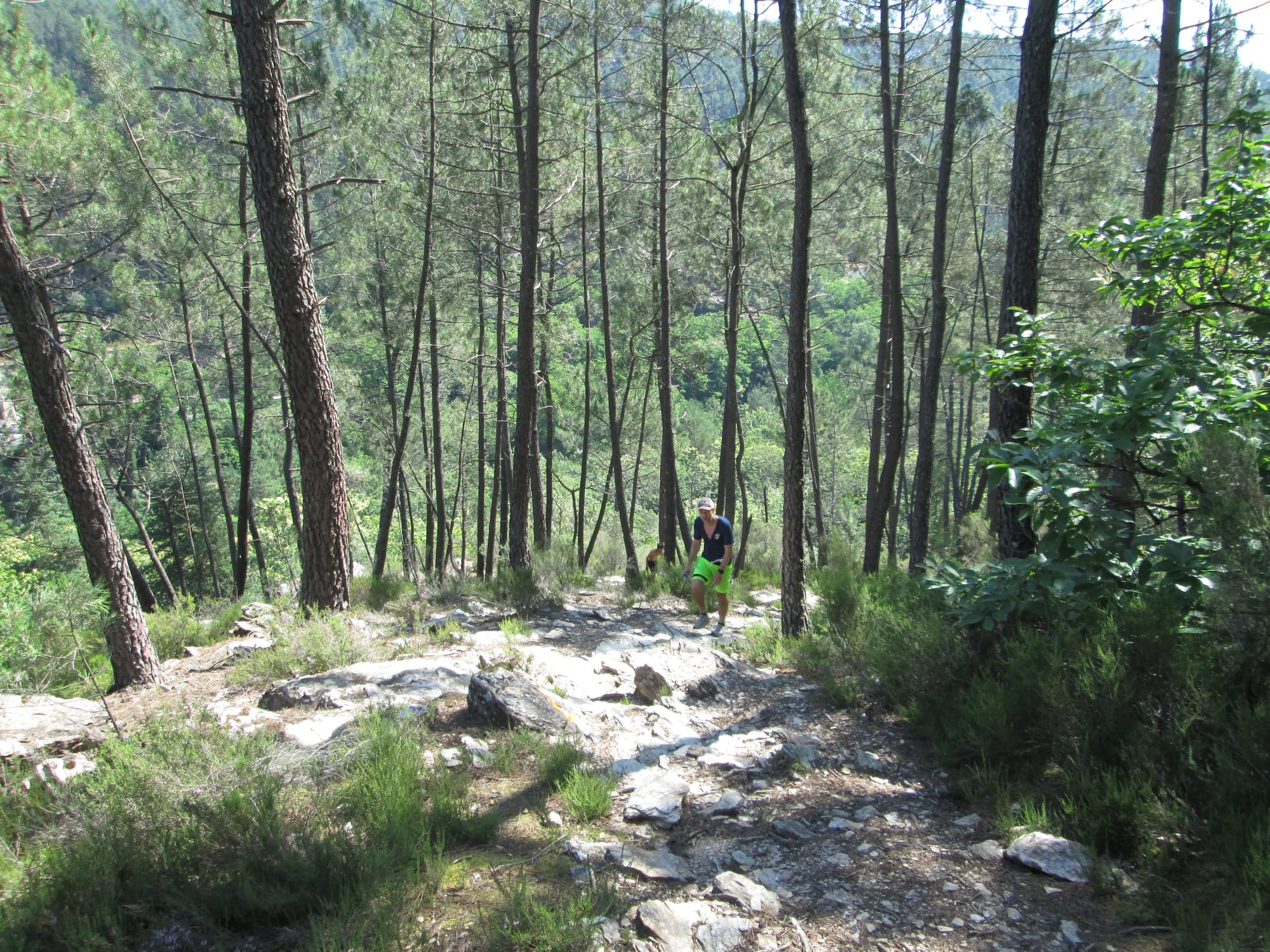 La Nouvelle Calade - 31ème édition