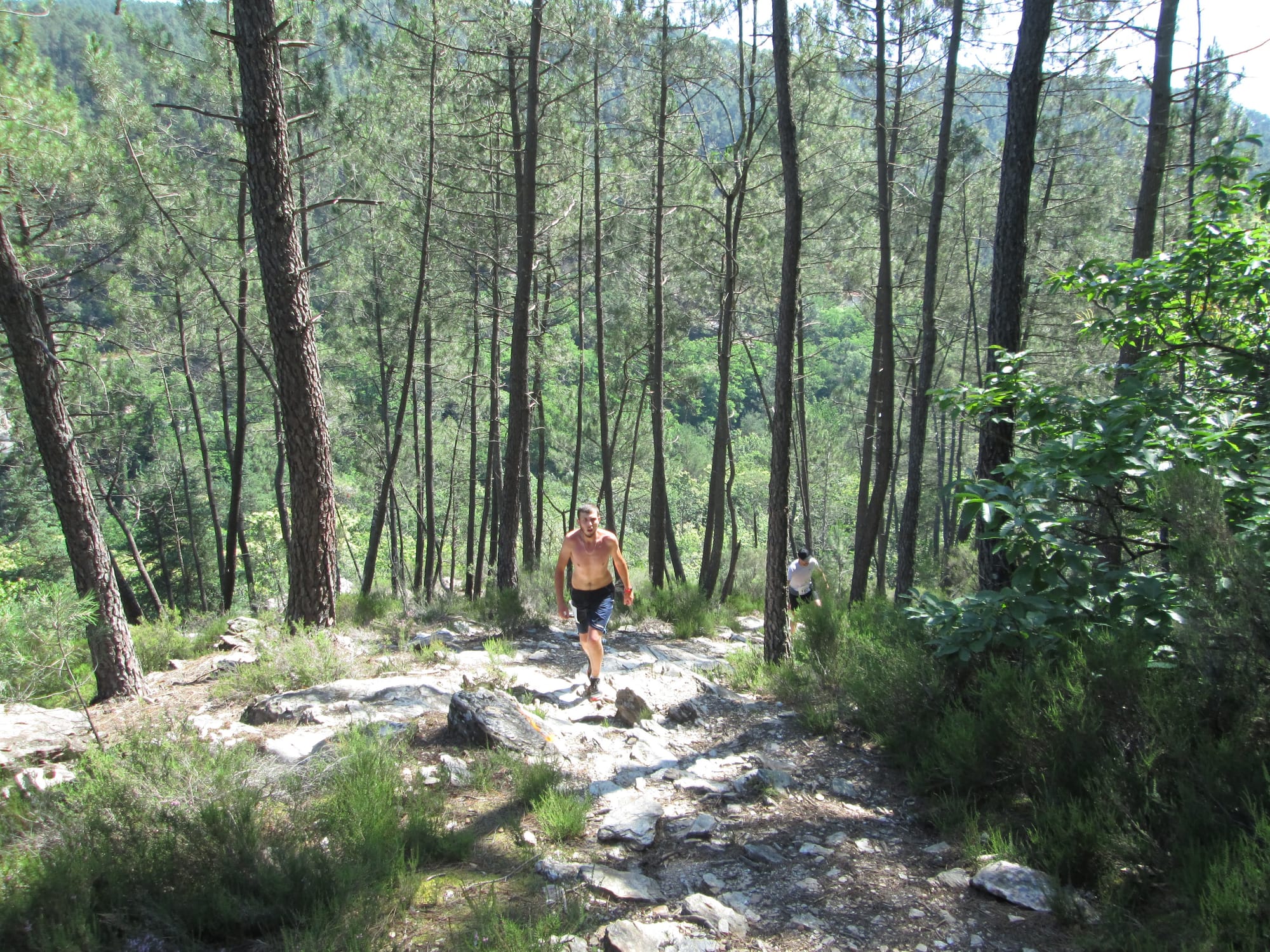 La Nouvelle Calade - 31ème édition