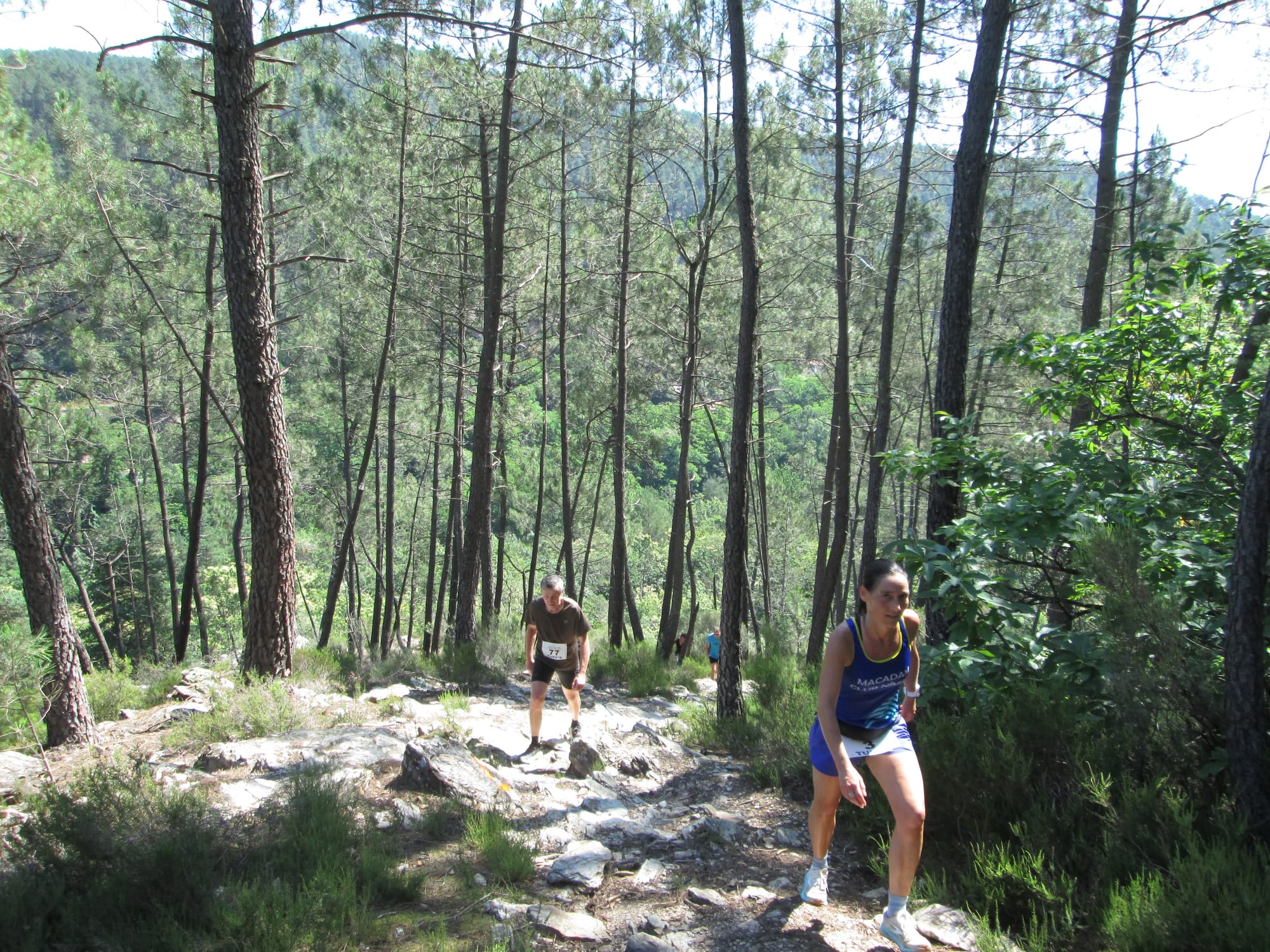 La Nouvelle Calade - 31ème édition