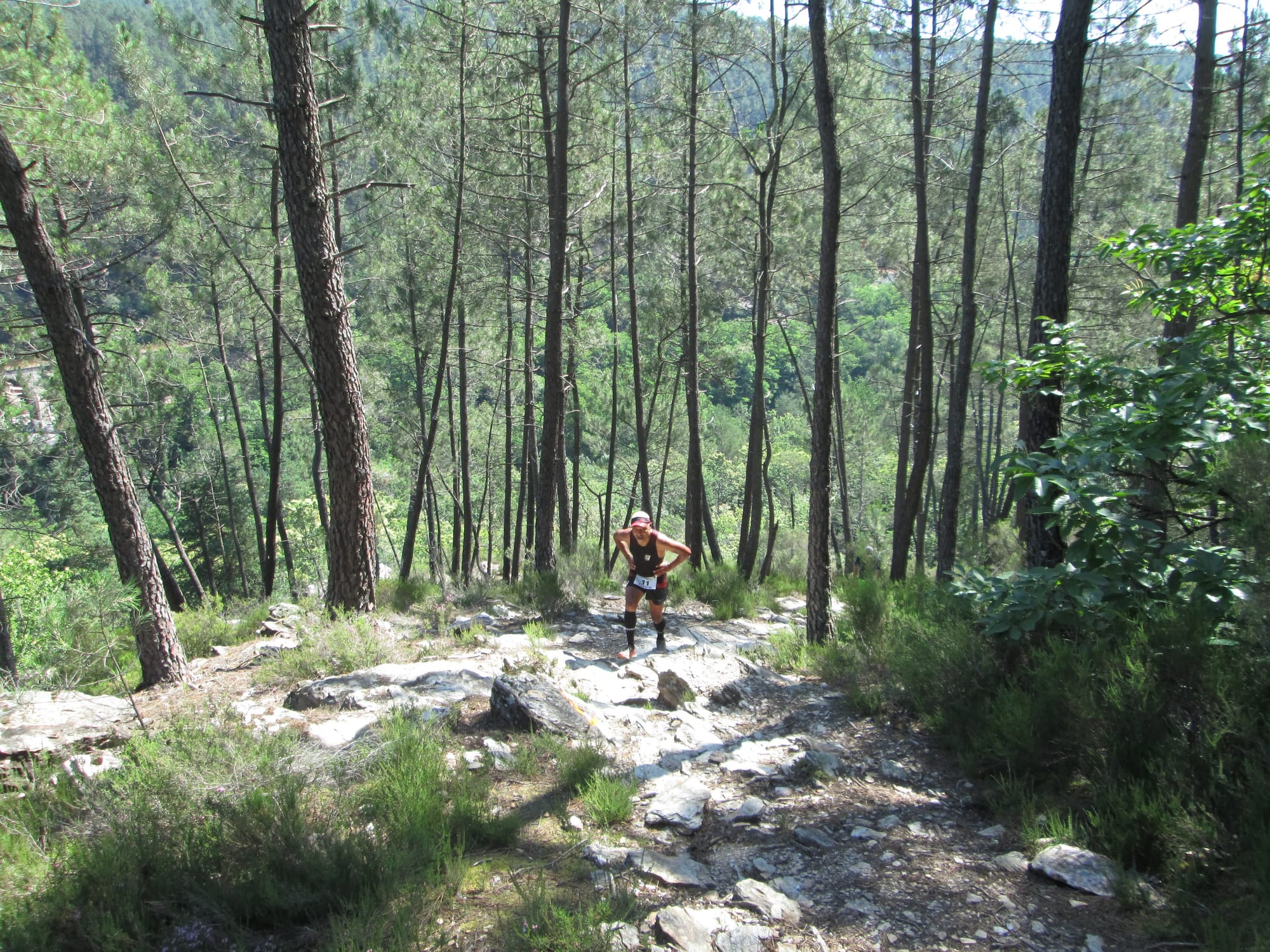 La Nouvelle Calade - 31ème édition