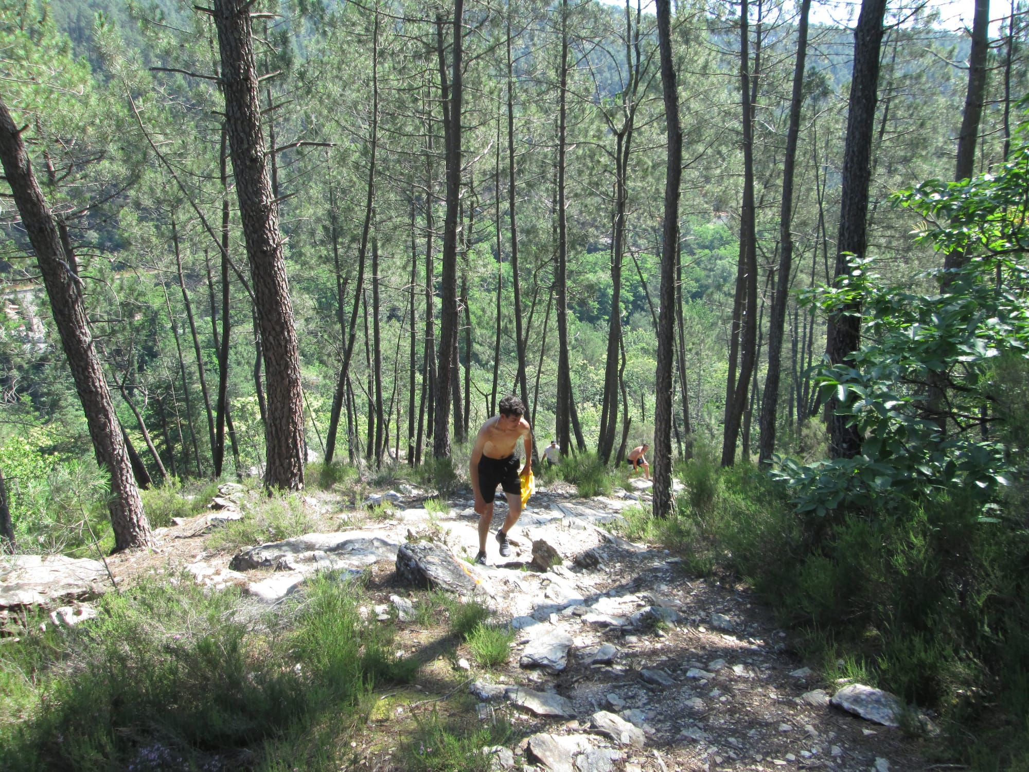 La Nouvelle Calade - 31ème édition