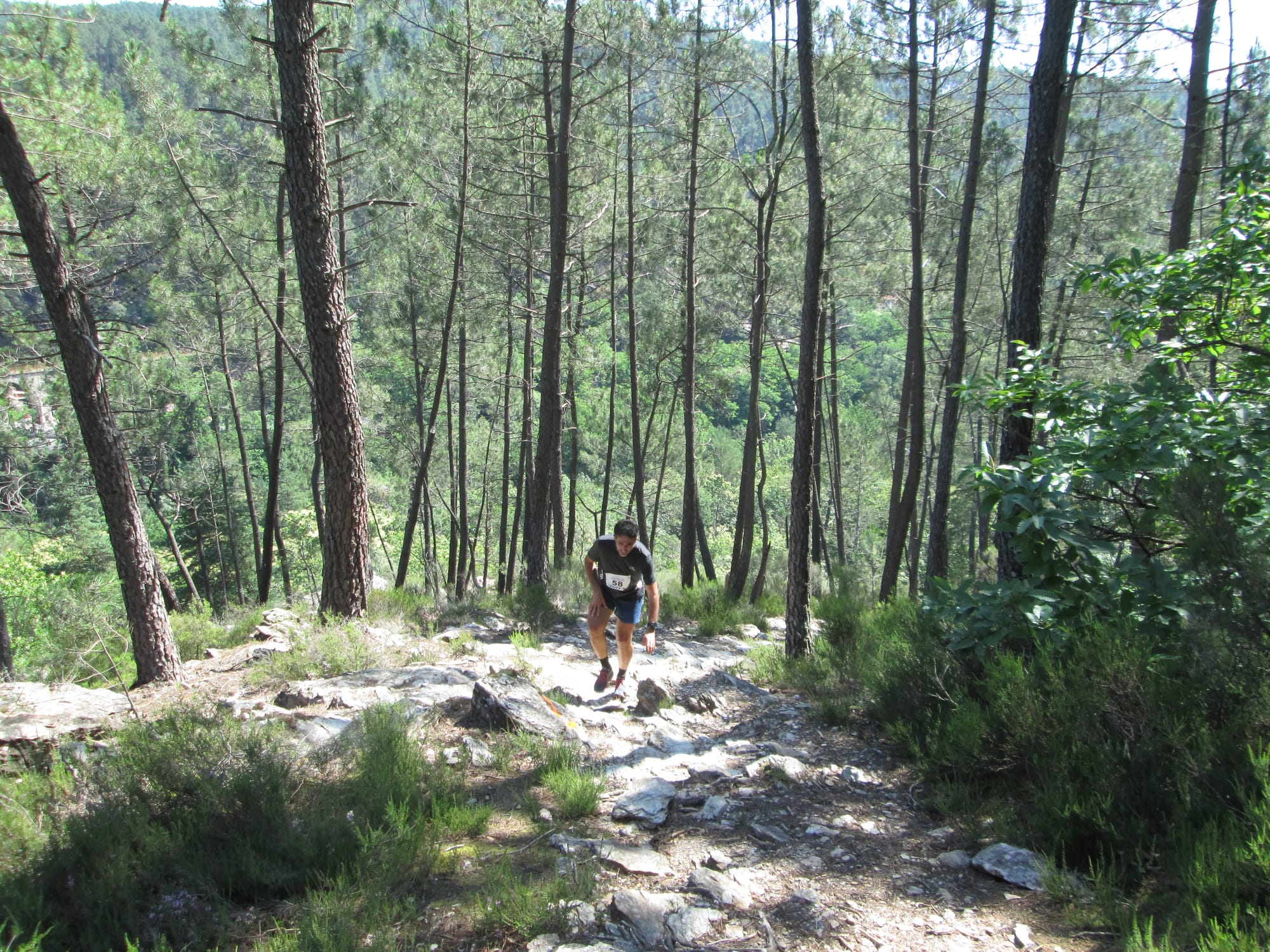 La Nouvelle Calade - 31ème édition