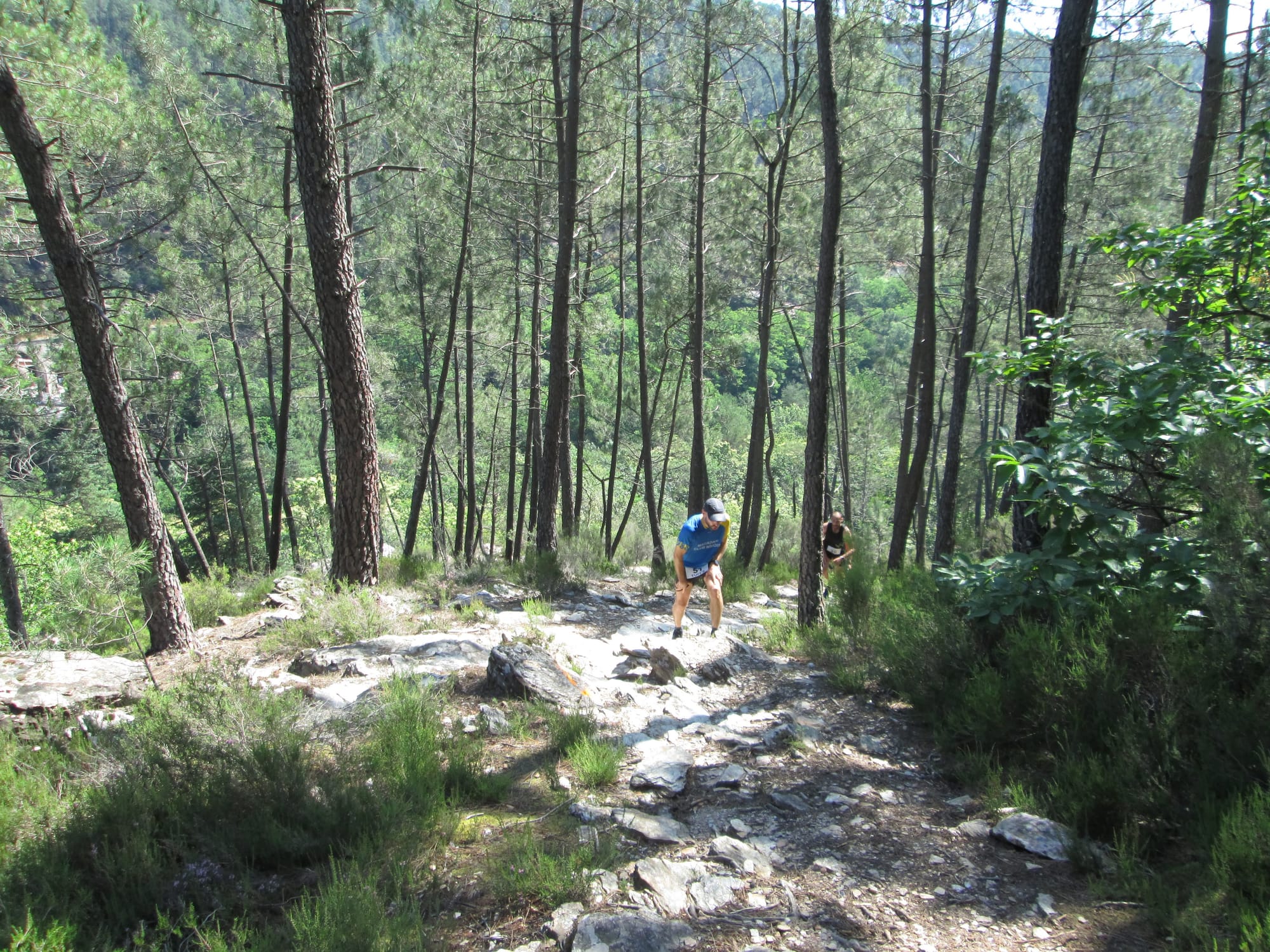 La Nouvelle Calade - 31ème édition