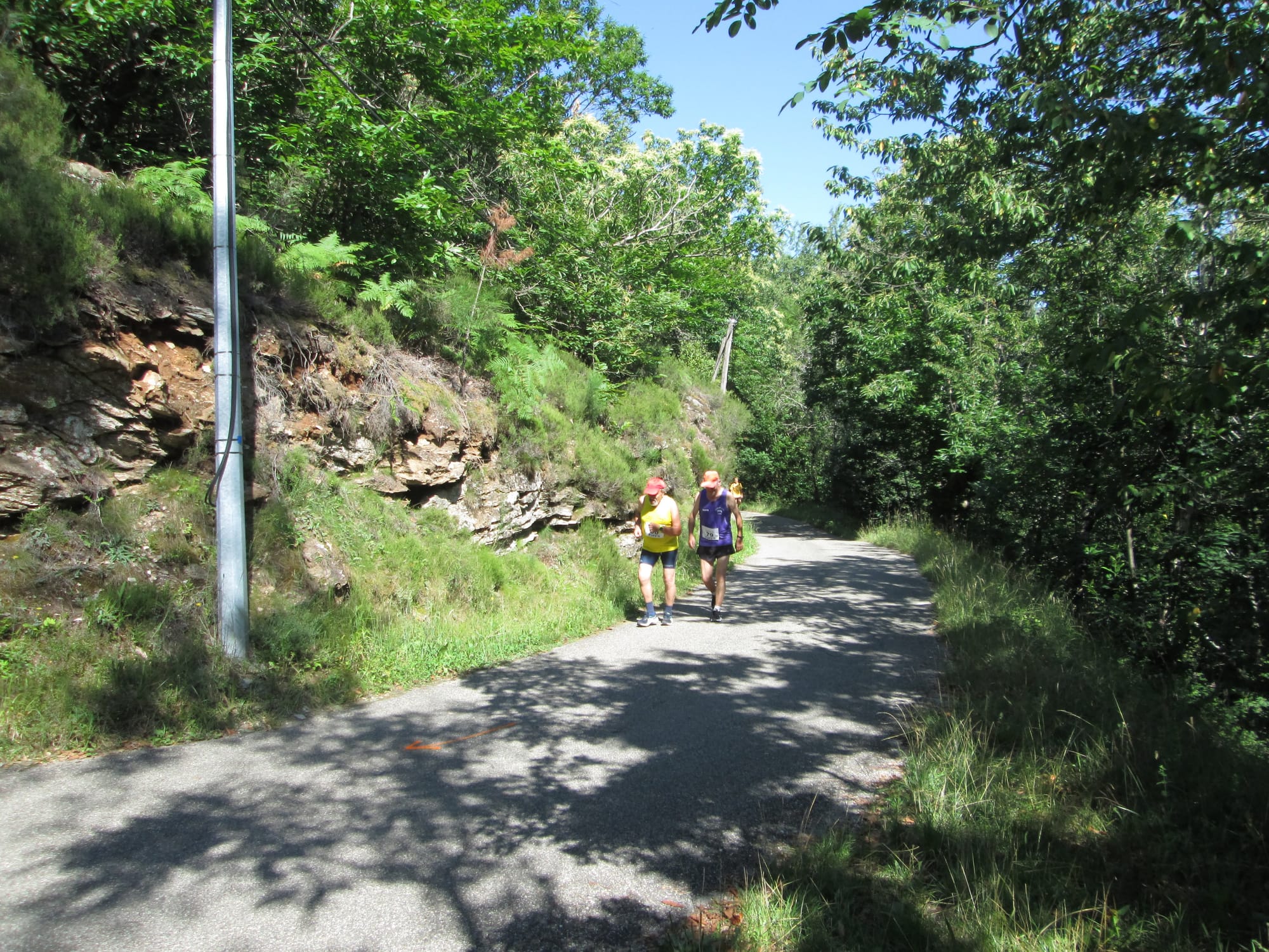 La Nouvelle Calade - 31ème édition