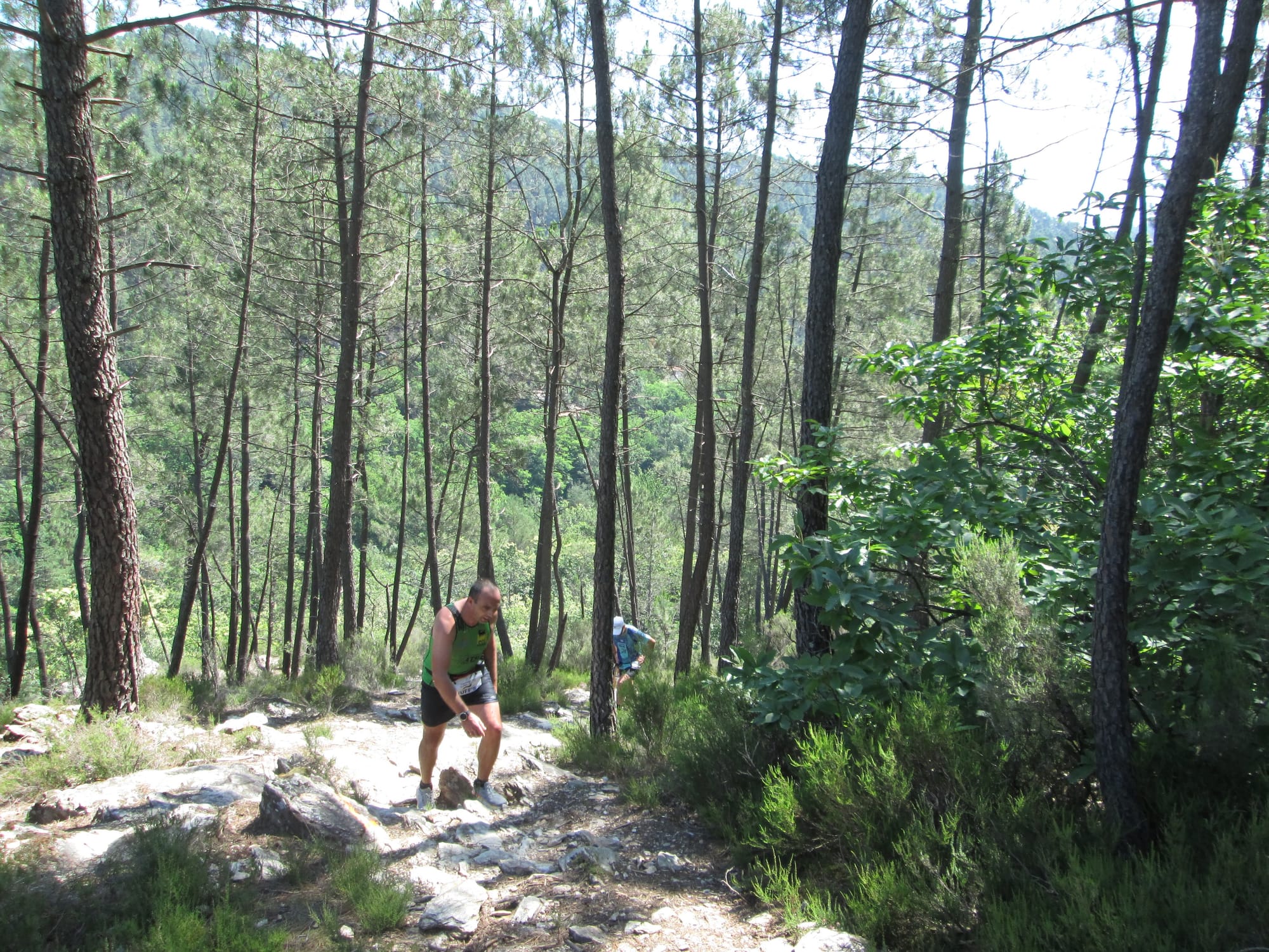 La Nouvelle Calade - 31ème édition