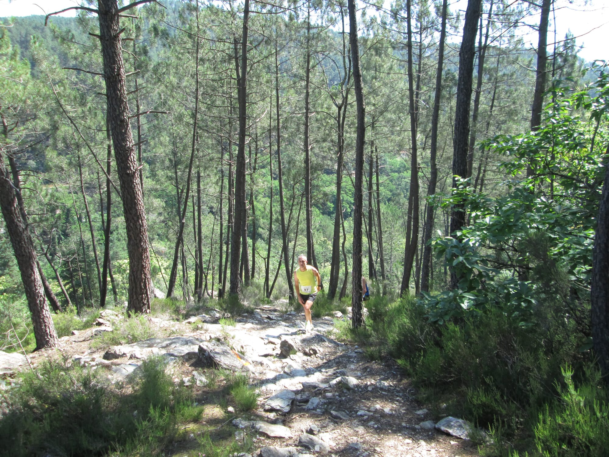 La Nouvelle Calade - 31ème édition