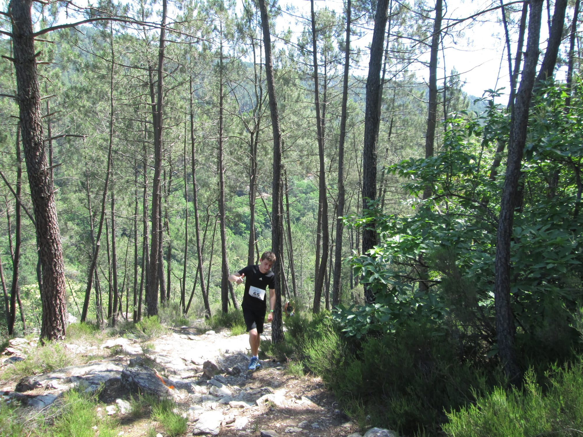 La Nouvelle Calade - 31ème édition