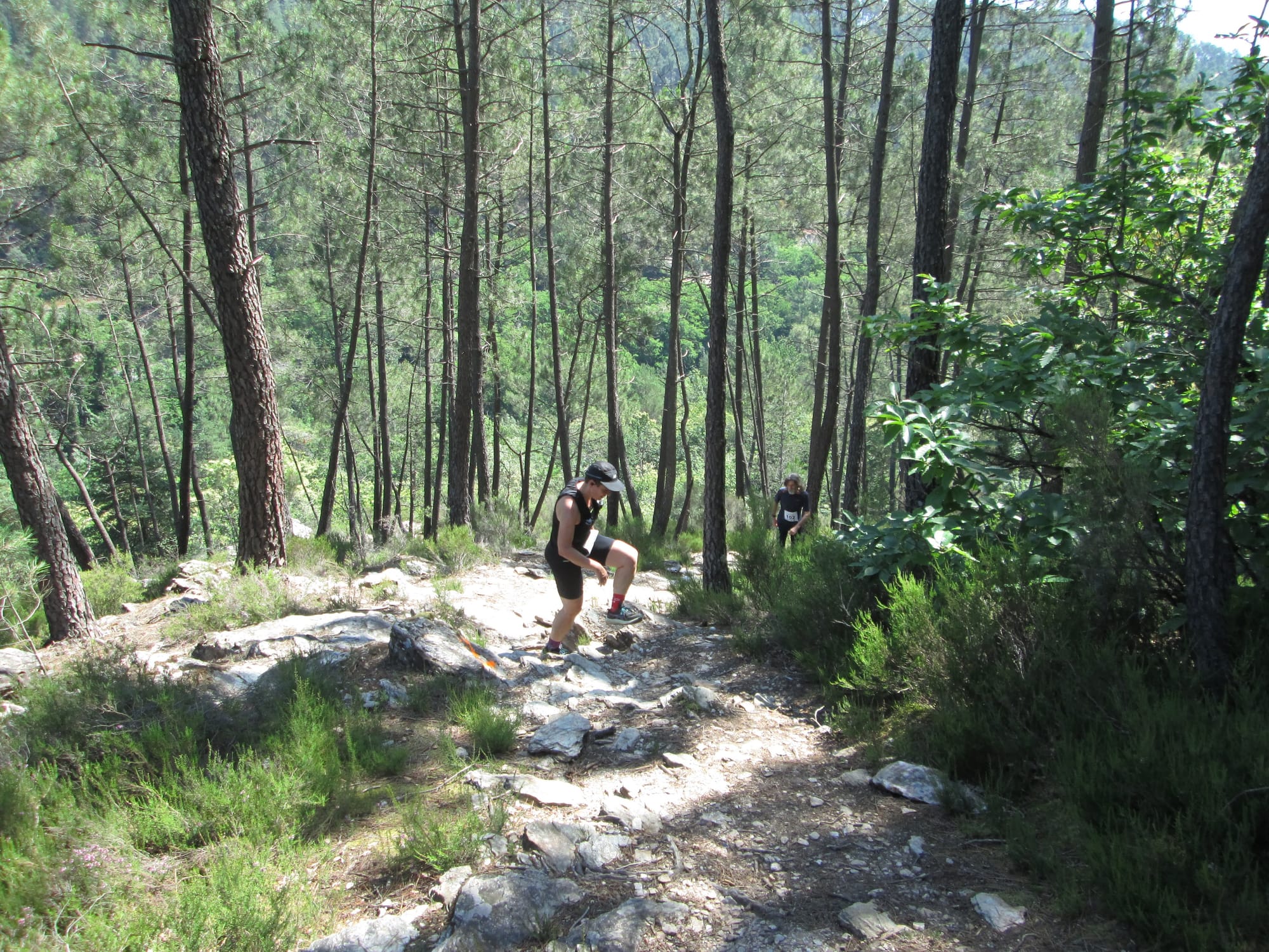 La Nouvelle Calade - 31ème édition