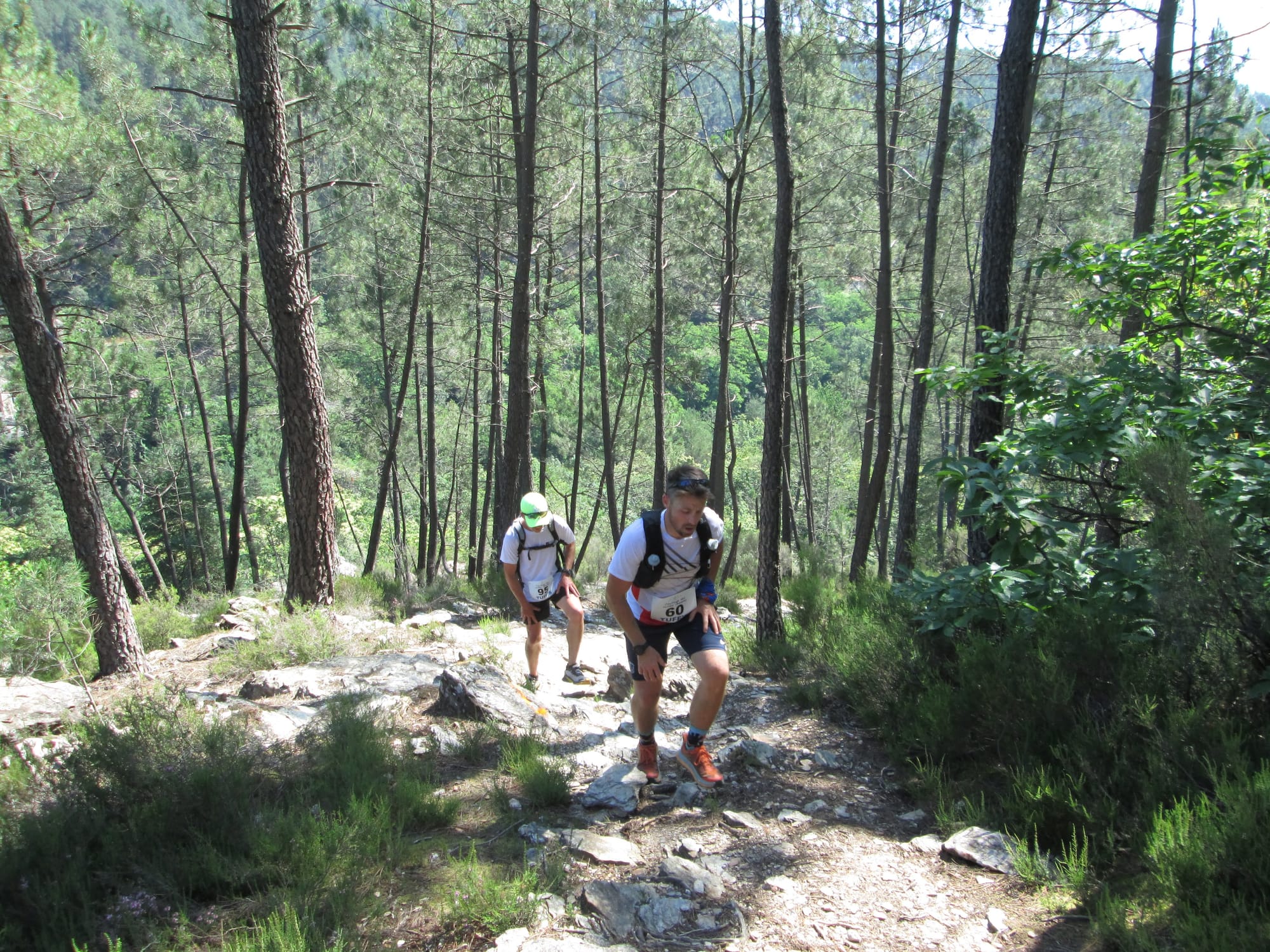 La Nouvelle Calade - 31ème édition