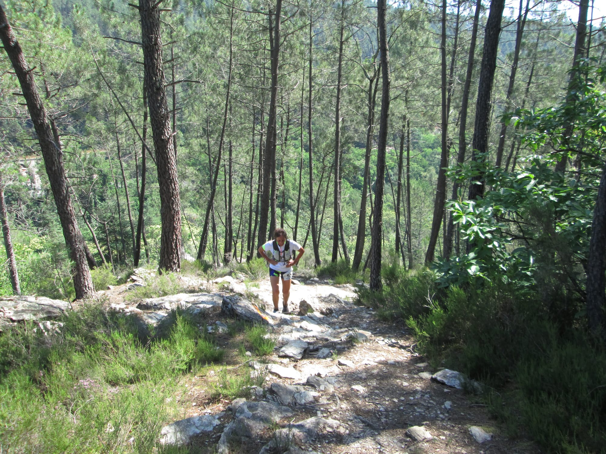 La Nouvelle Calade - 31ème édition