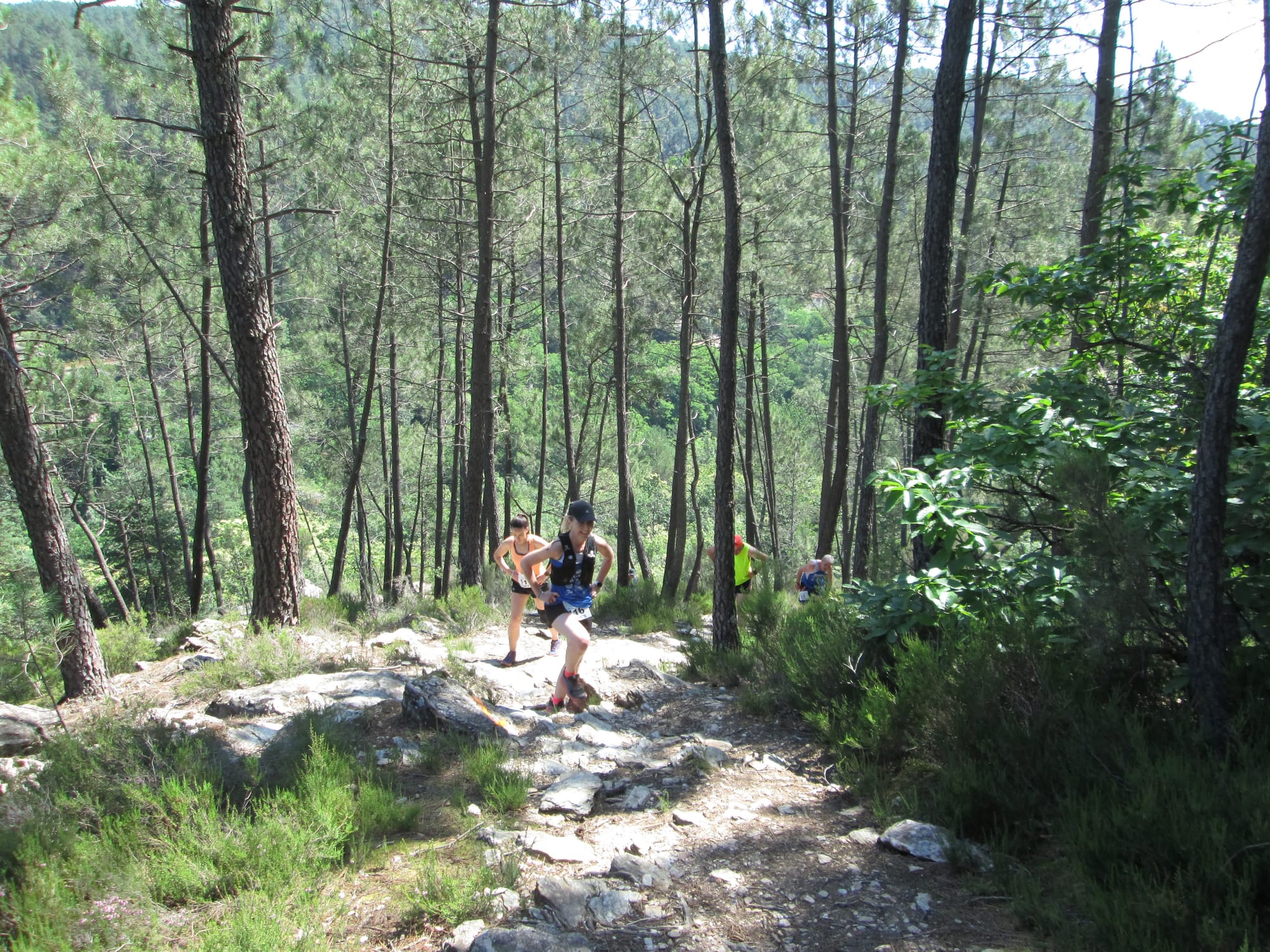 La Nouvelle Calade - 31ème édition