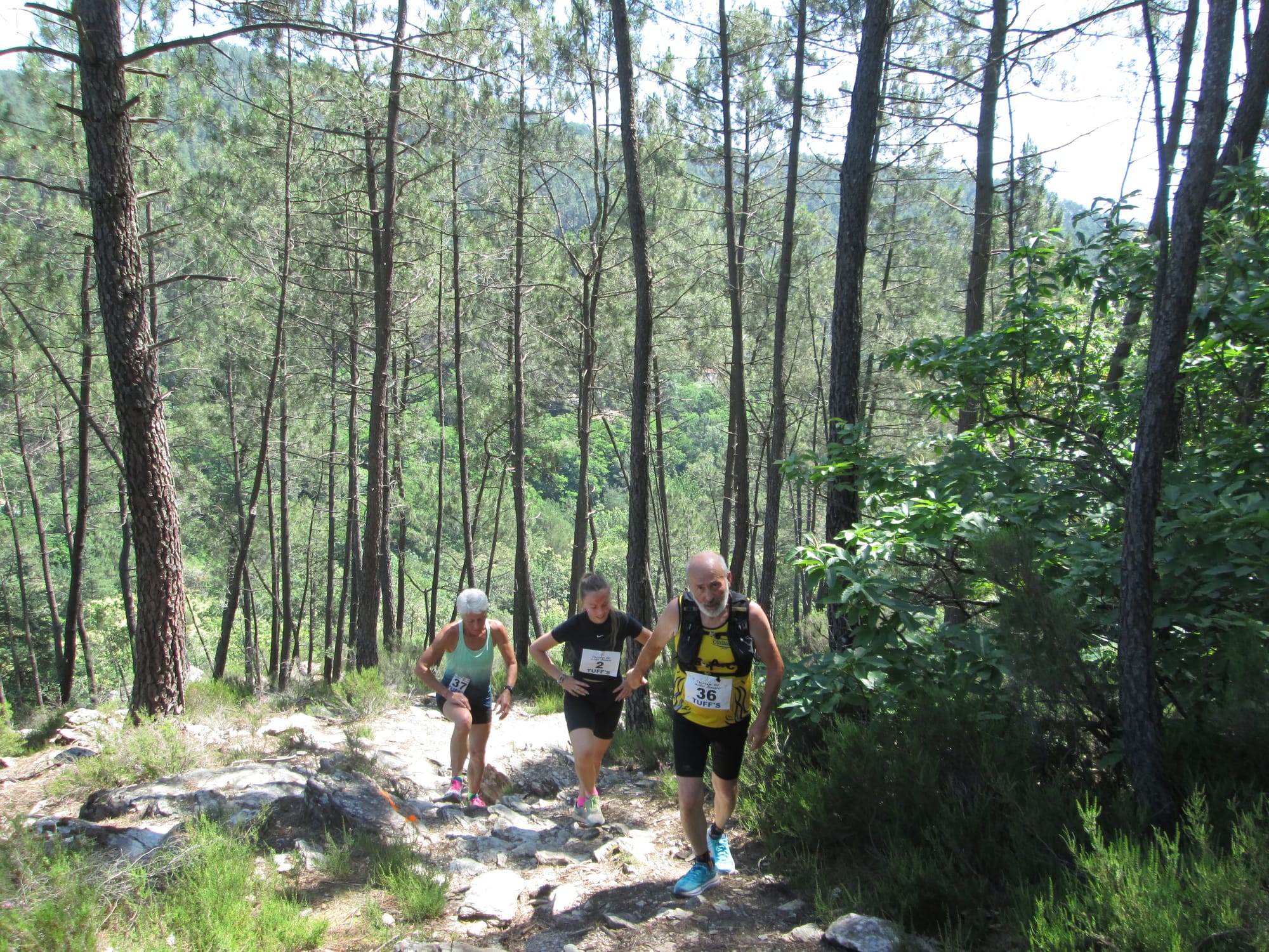 La Nouvelle Calade - 31ème édition