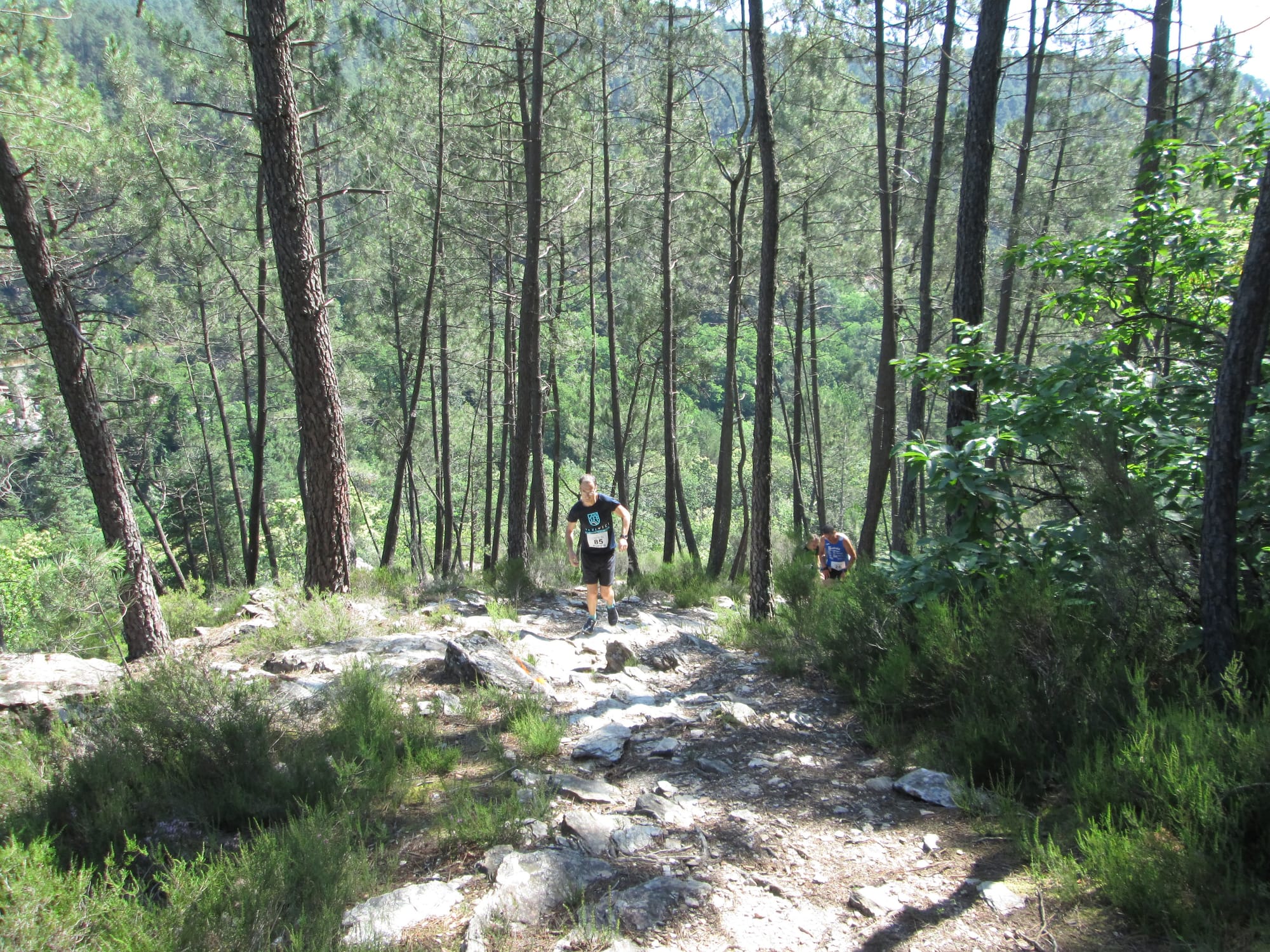 La Nouvelle Calade - 31ème édition