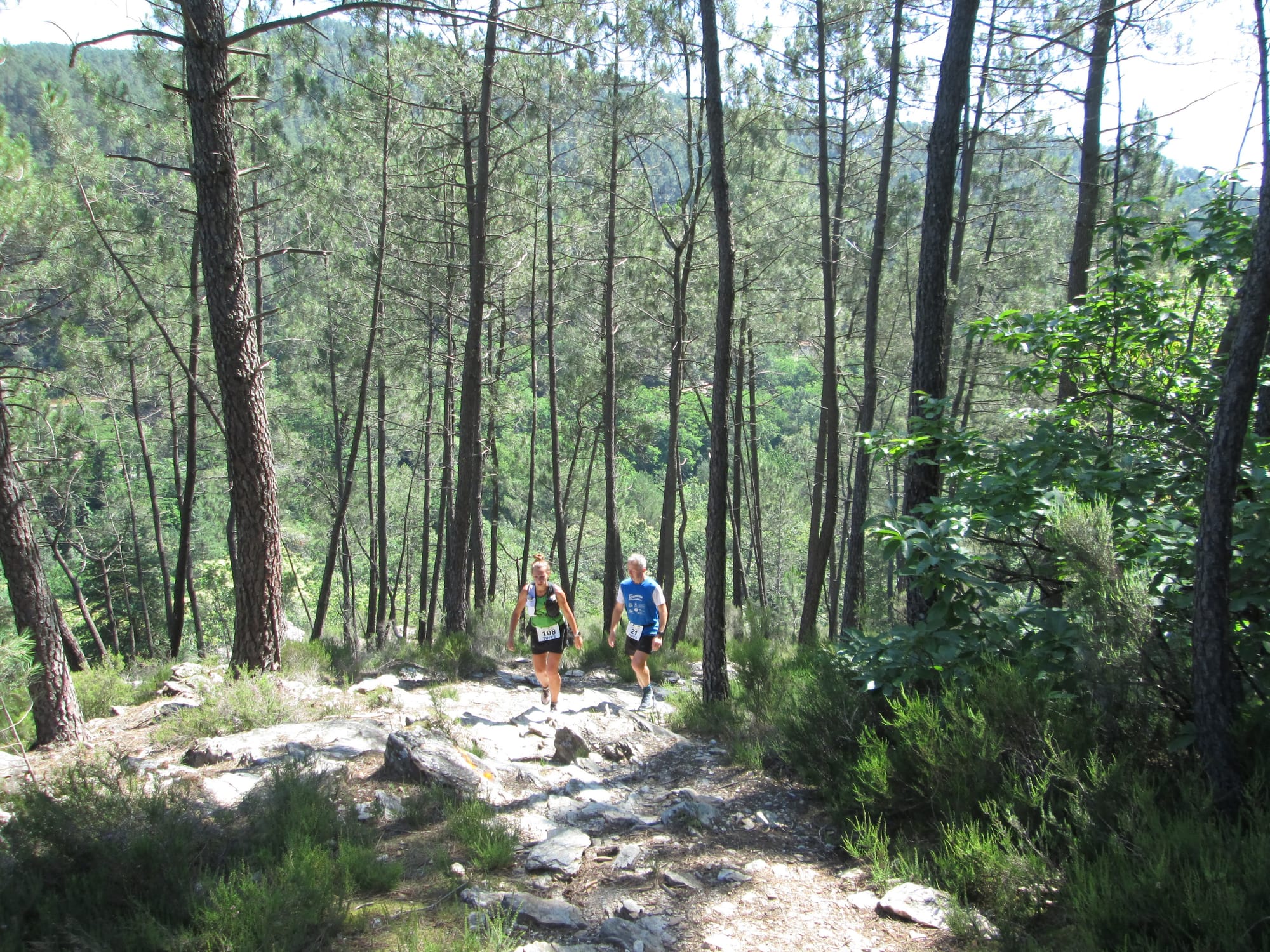 La Nouvelle Calade - 31ème édition